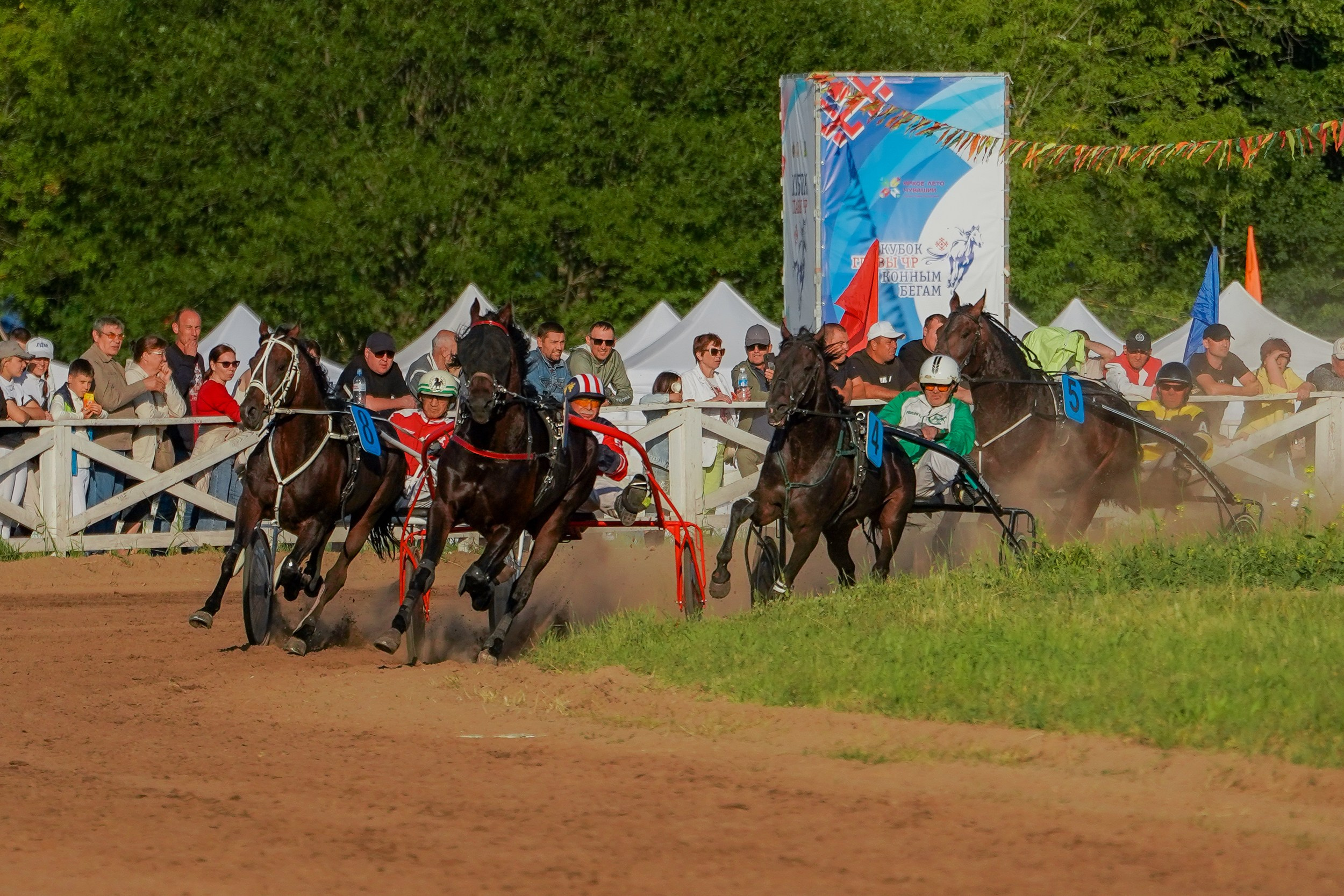 III конные бега на Кубок Главы Чувашии. Фотограф-анималист, портретный фотограф в Чебоксарах Мария Садыкова