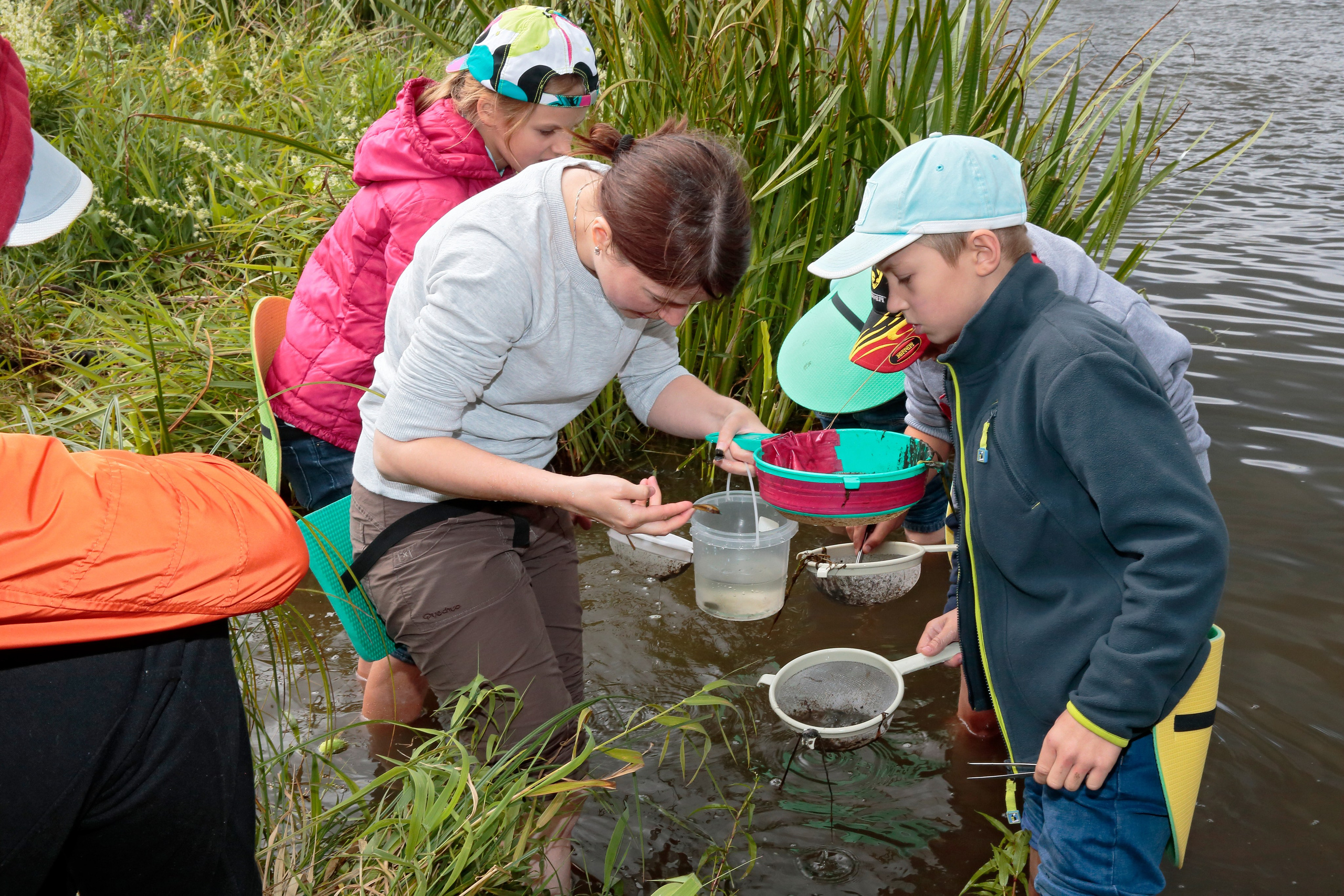 ЛАНАТ 2015. Попов.фото — Предметная фотостудия в Новой Москве