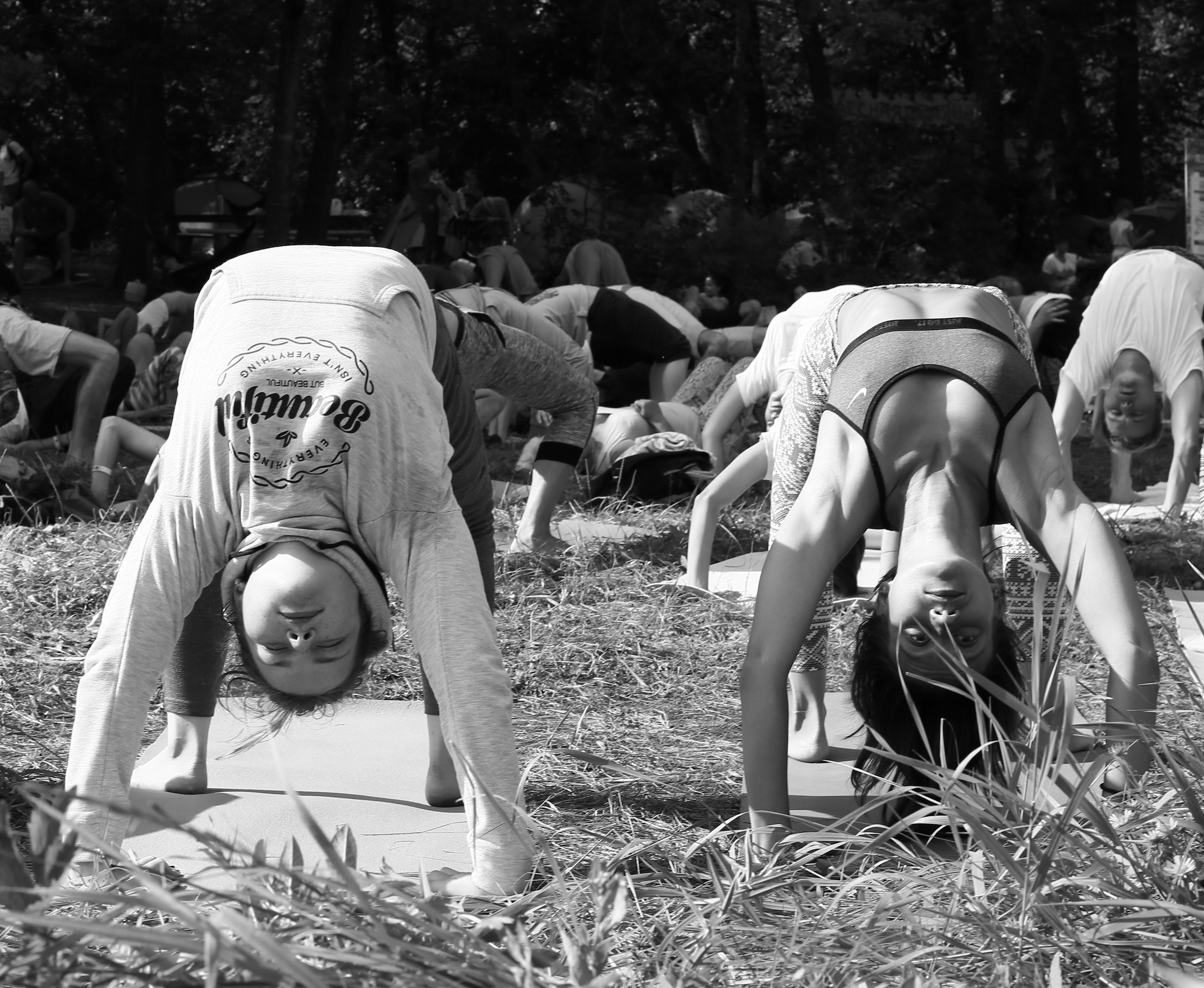 Фестиваль Протока