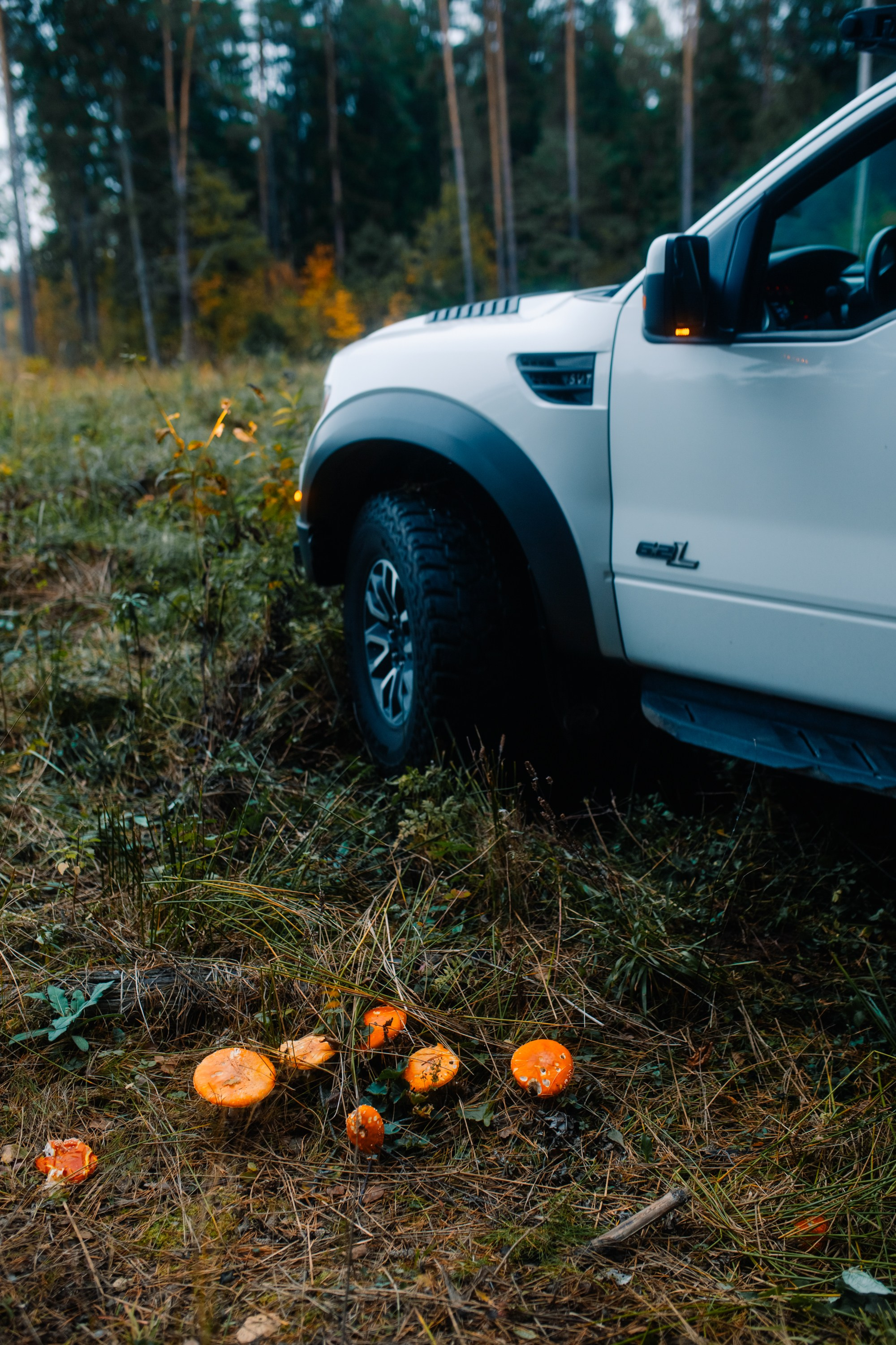 Как мы пошли за третьим. Фотограф Оля Батист