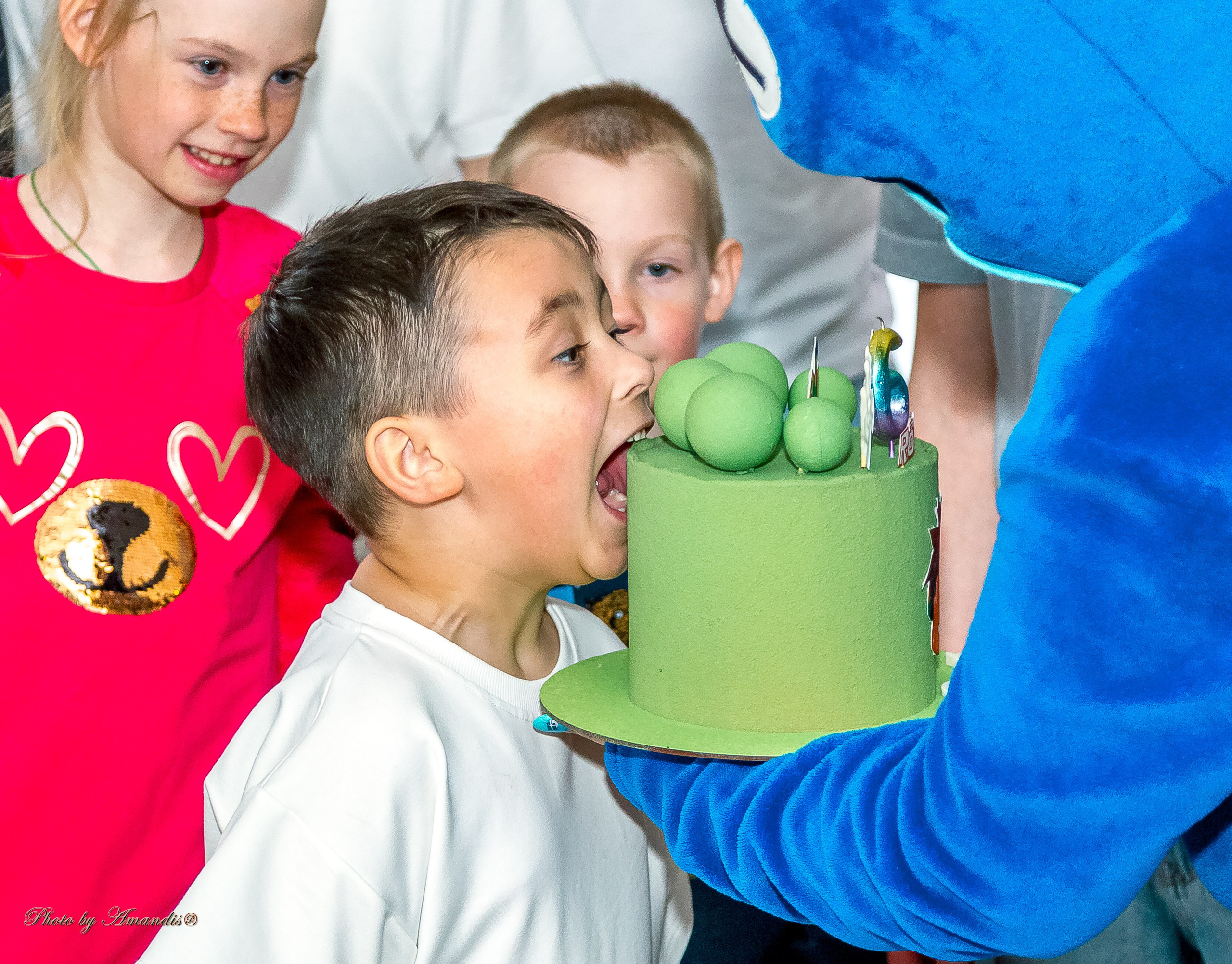 День рождения Лёвы (6 лет). Репортажная съемка в Москве и области. Анималистика