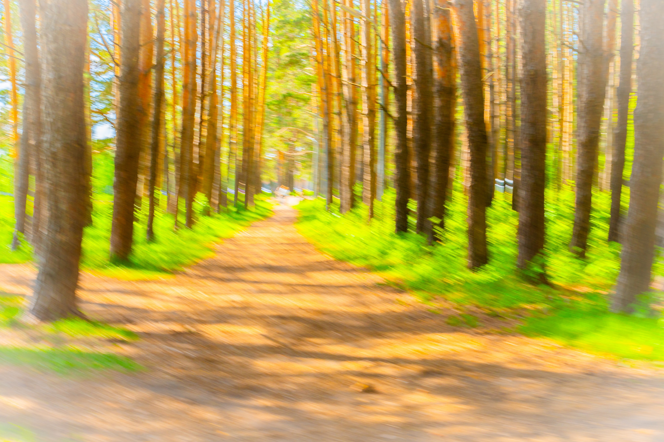 Пейзажи / Природа. Polypolarphotography