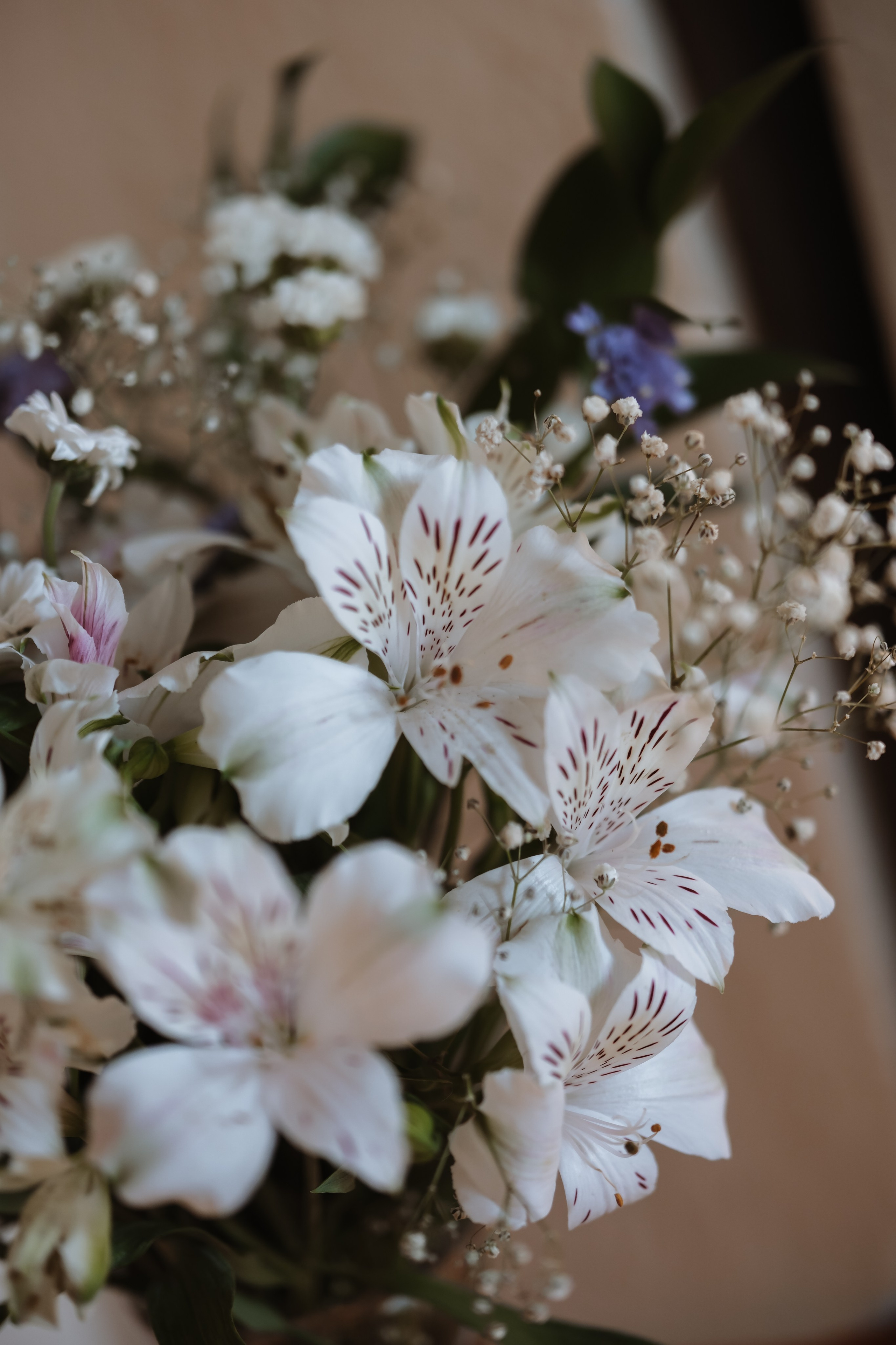 Крещение Тимофея!. Фотограф новорожденных в Брянске Анжелика Прохоренкова