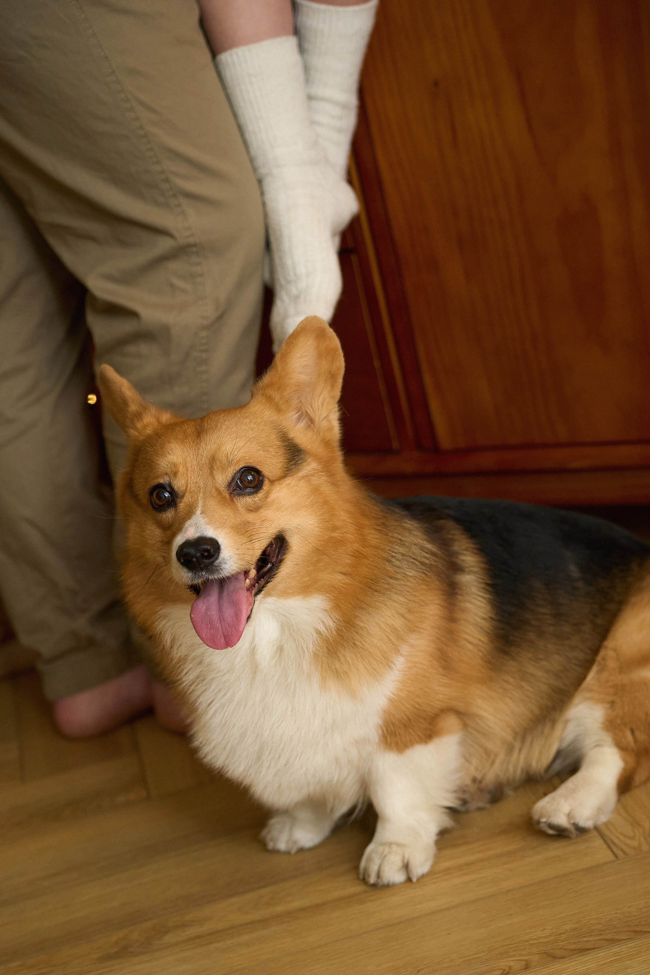 Максим, Кристина и Кофри. Фотограф из Владивостока Юлия Черепова