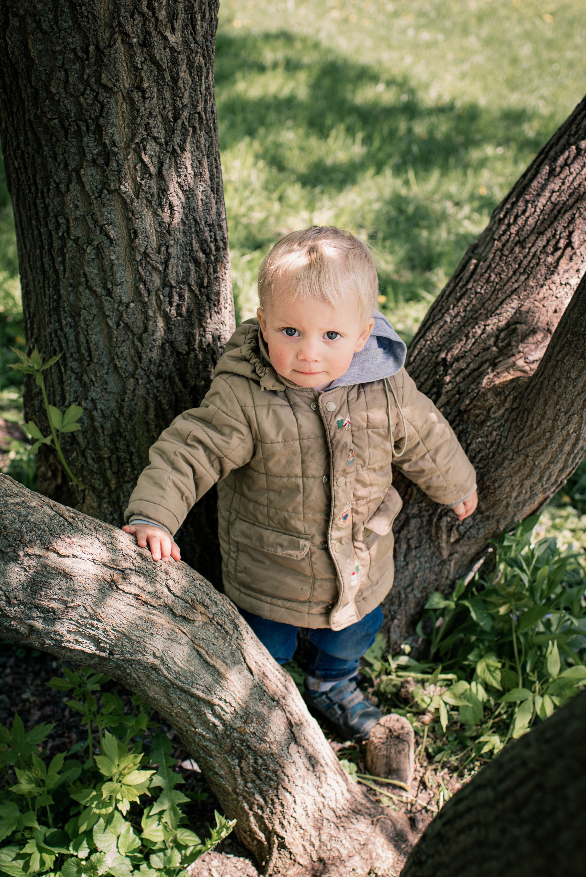 Прогулка в Екатерининском парке. Семейный фотограф в Москве Анна Коропова