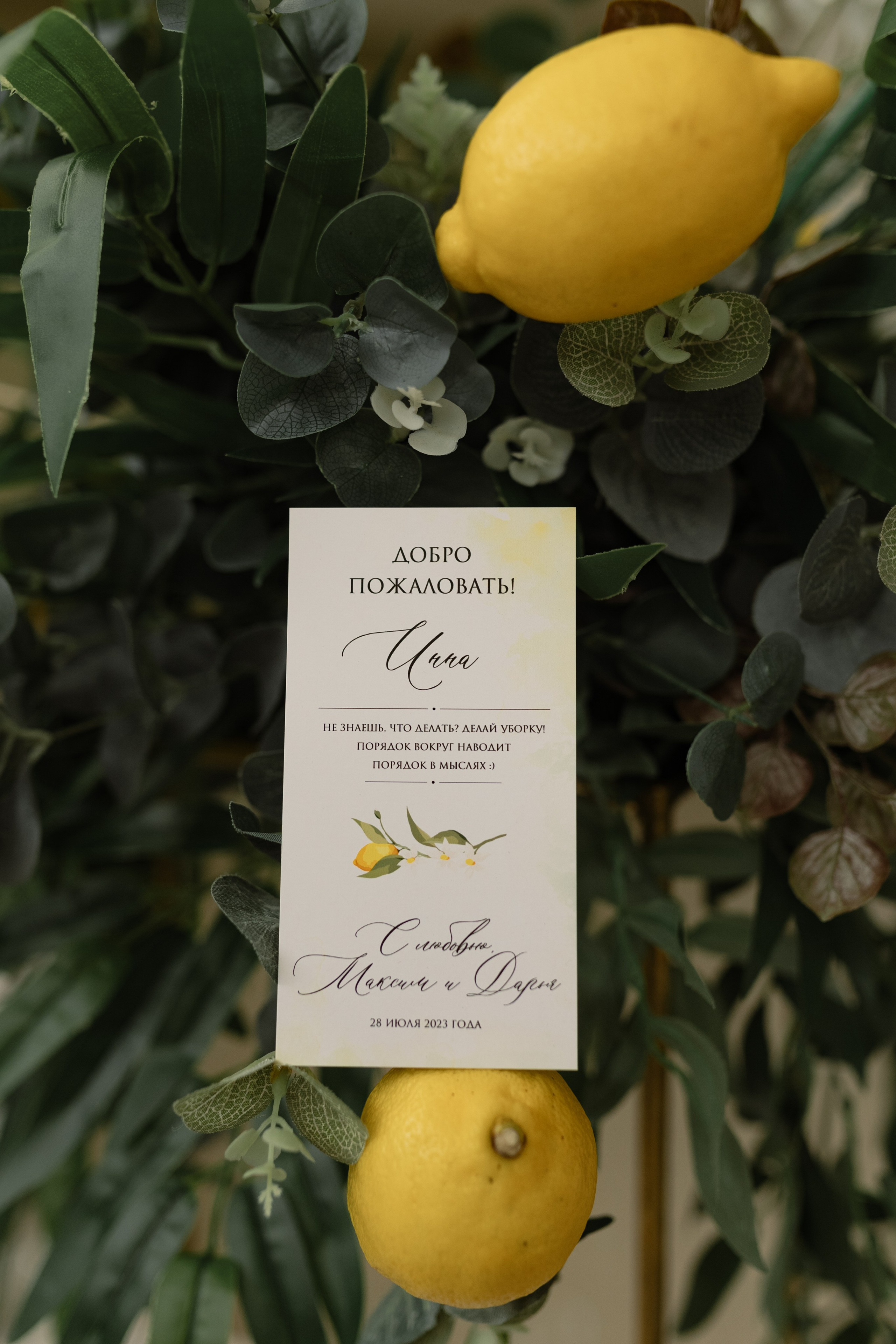 Дарья и Максим. Свадебный фотограф Курск Максим Ноздрачев