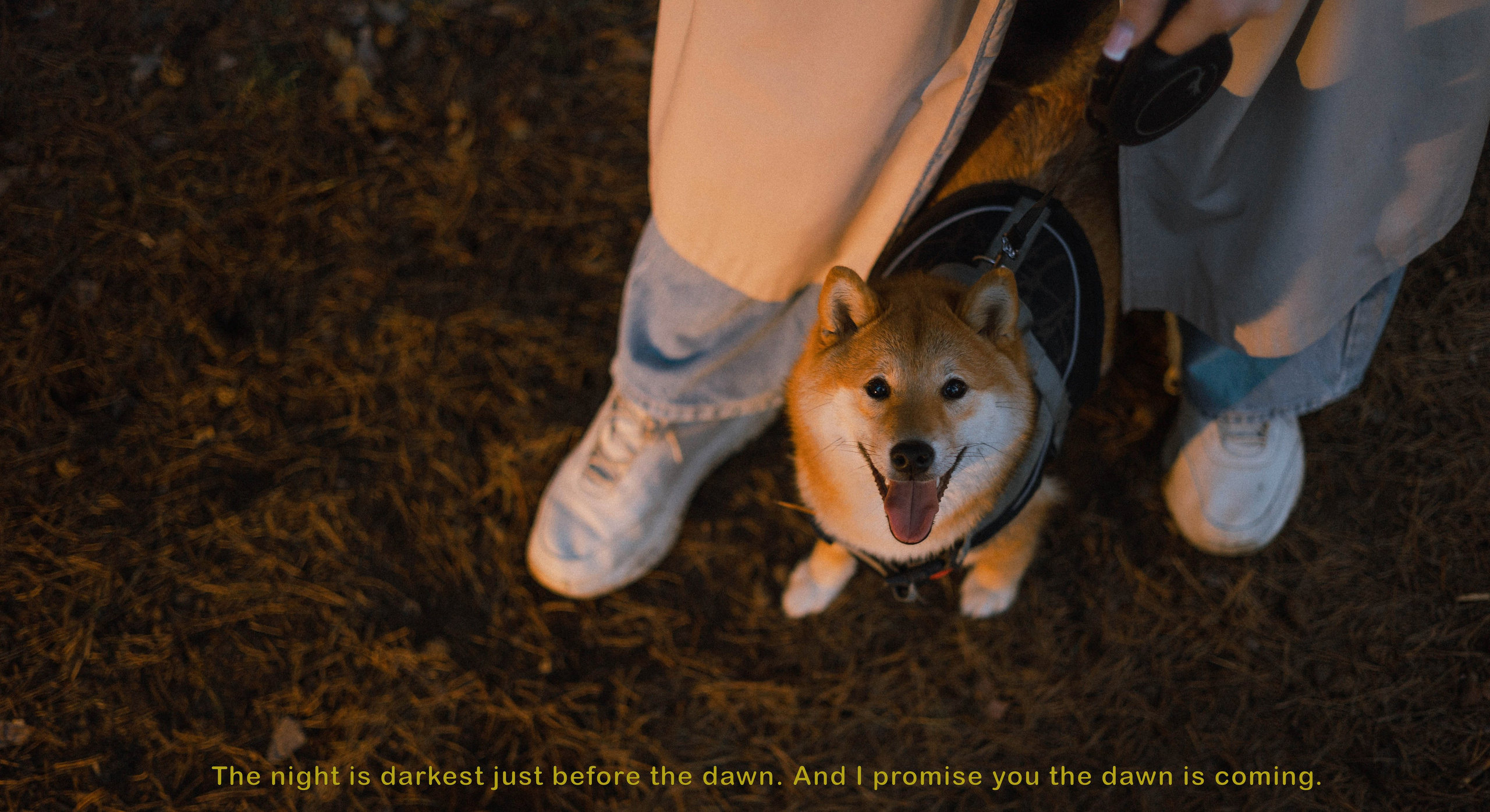 Аня и Шани. Фотограф-анималист Богданова Полина