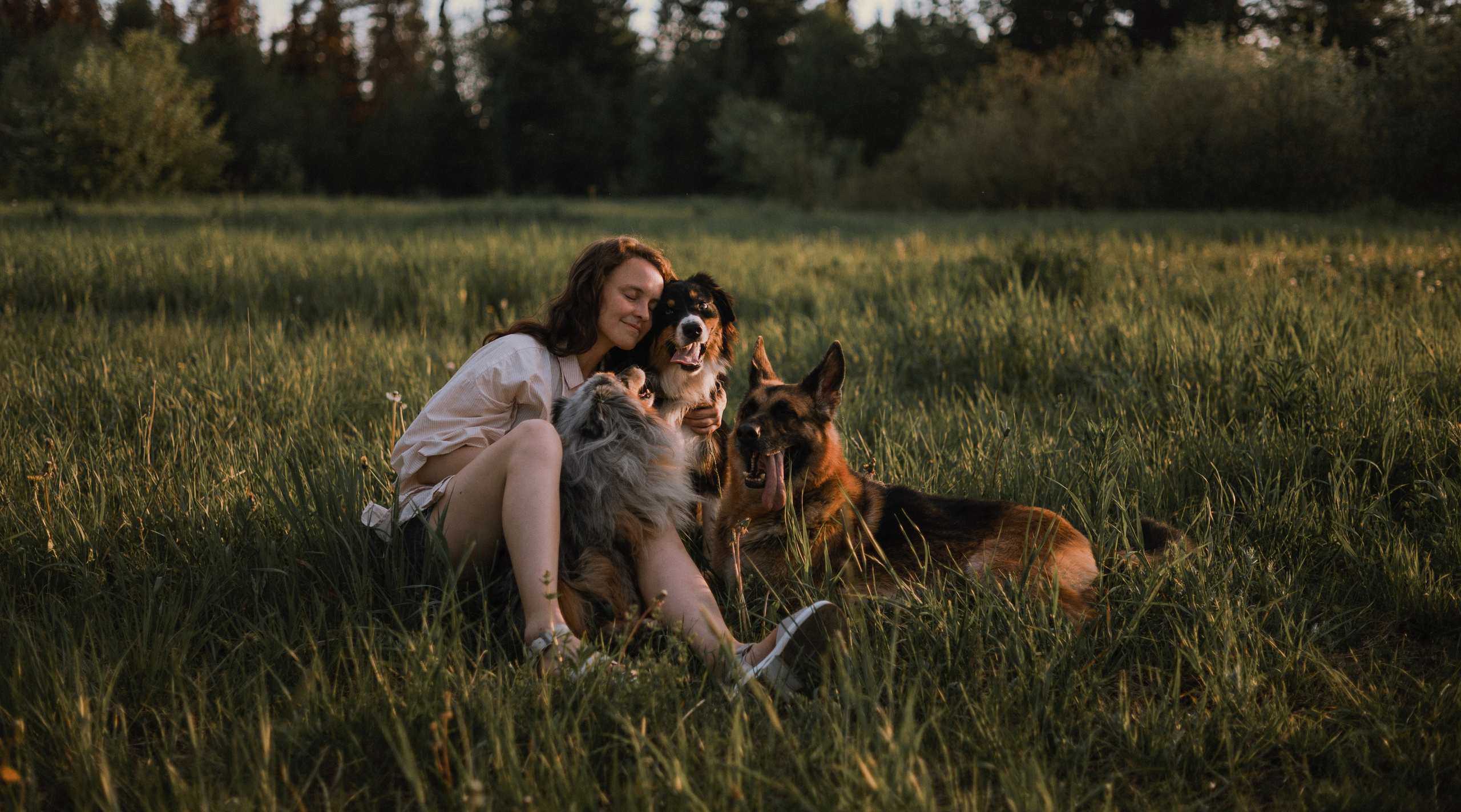 Настя, Шуня, Милка и Тигуан. Фотограф-анималист Богданова Полина