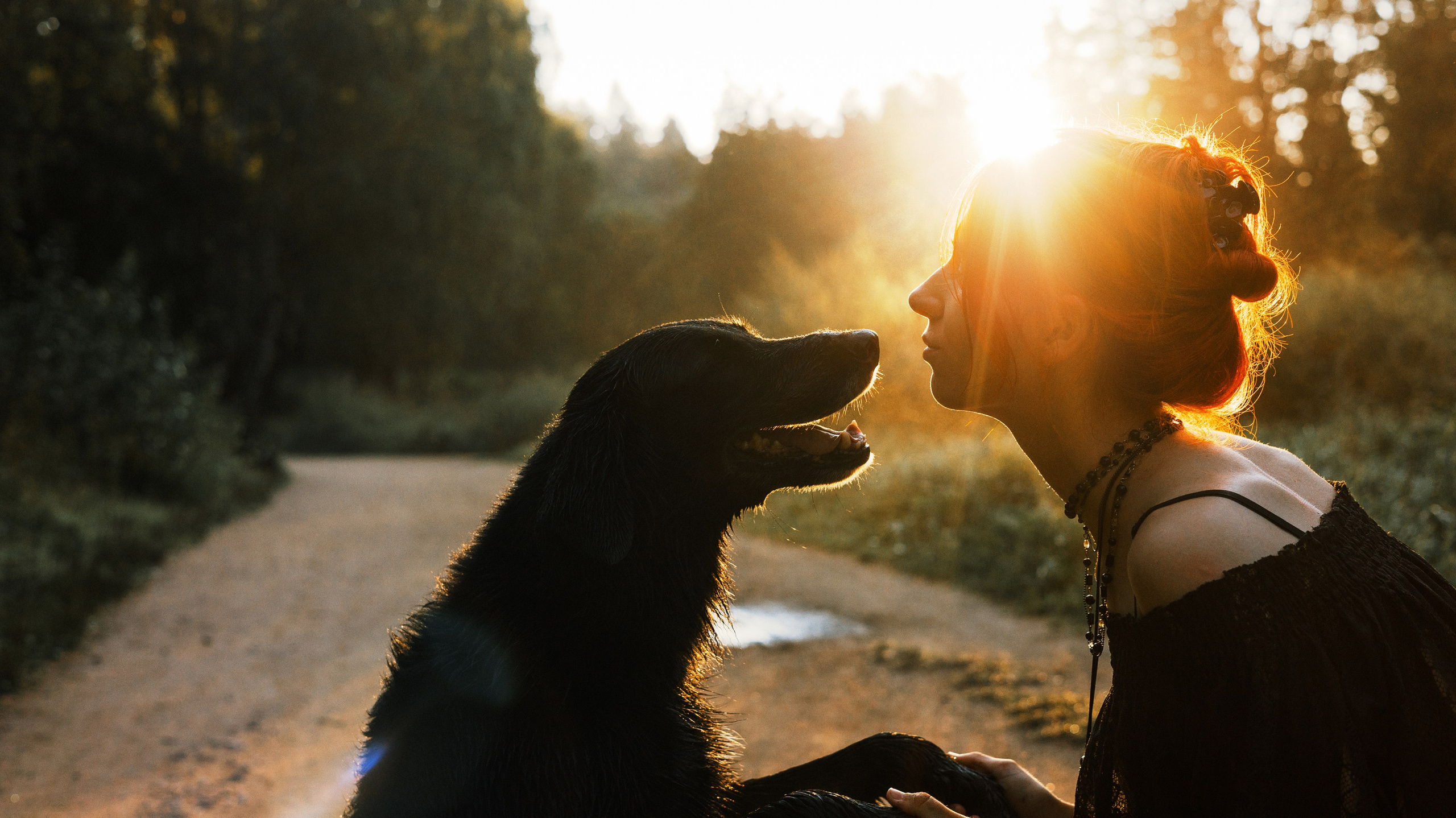 Лиза и Коди. Фотограф-анималист Богданова Полина