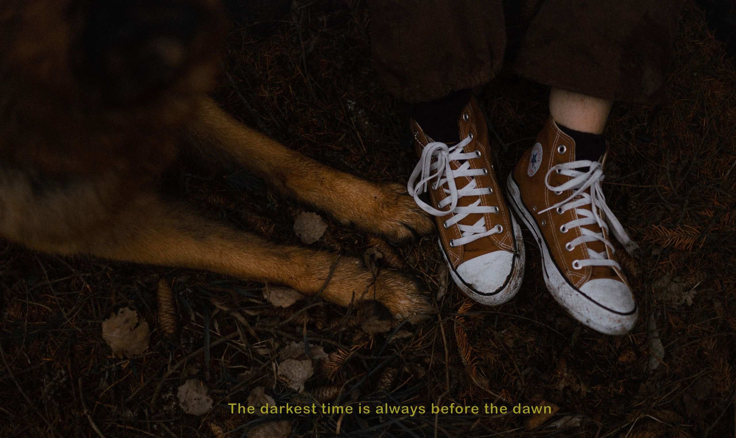 Лера и Ральф. Фотограф-анималист Богданова Полина