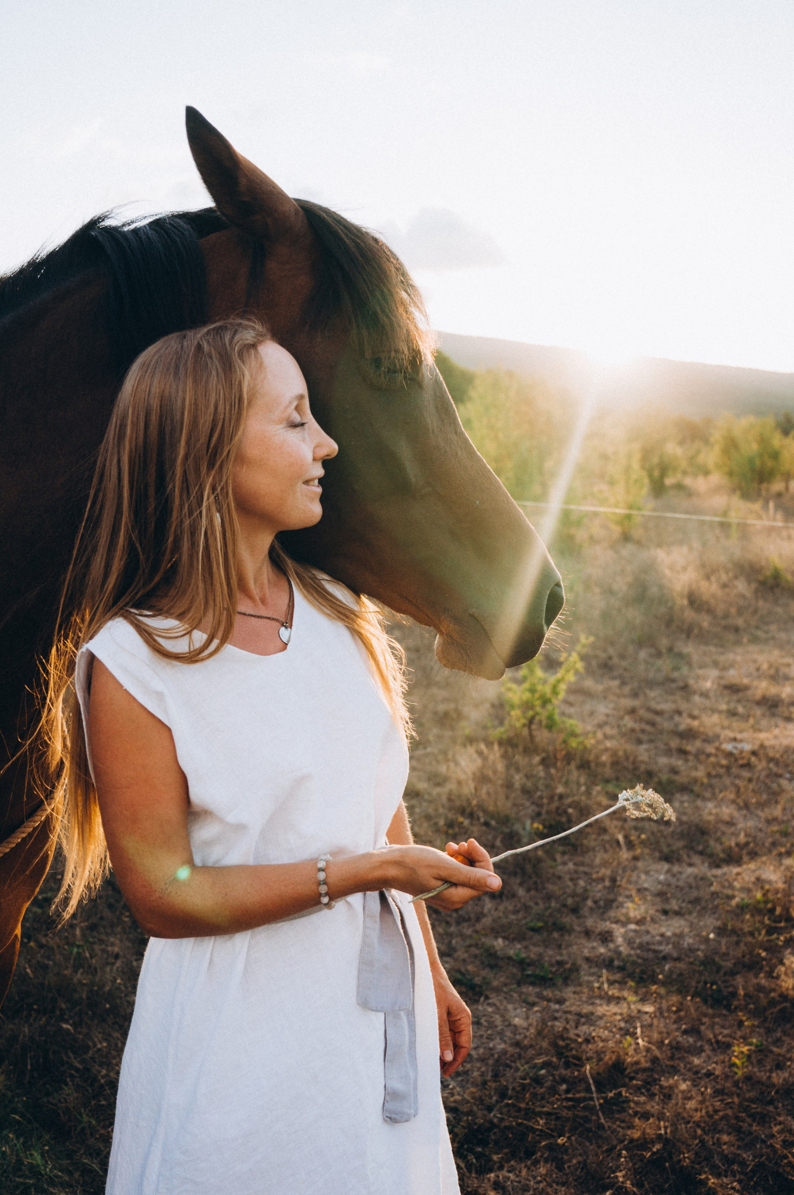 Проект свободных лошадей. Обо мне