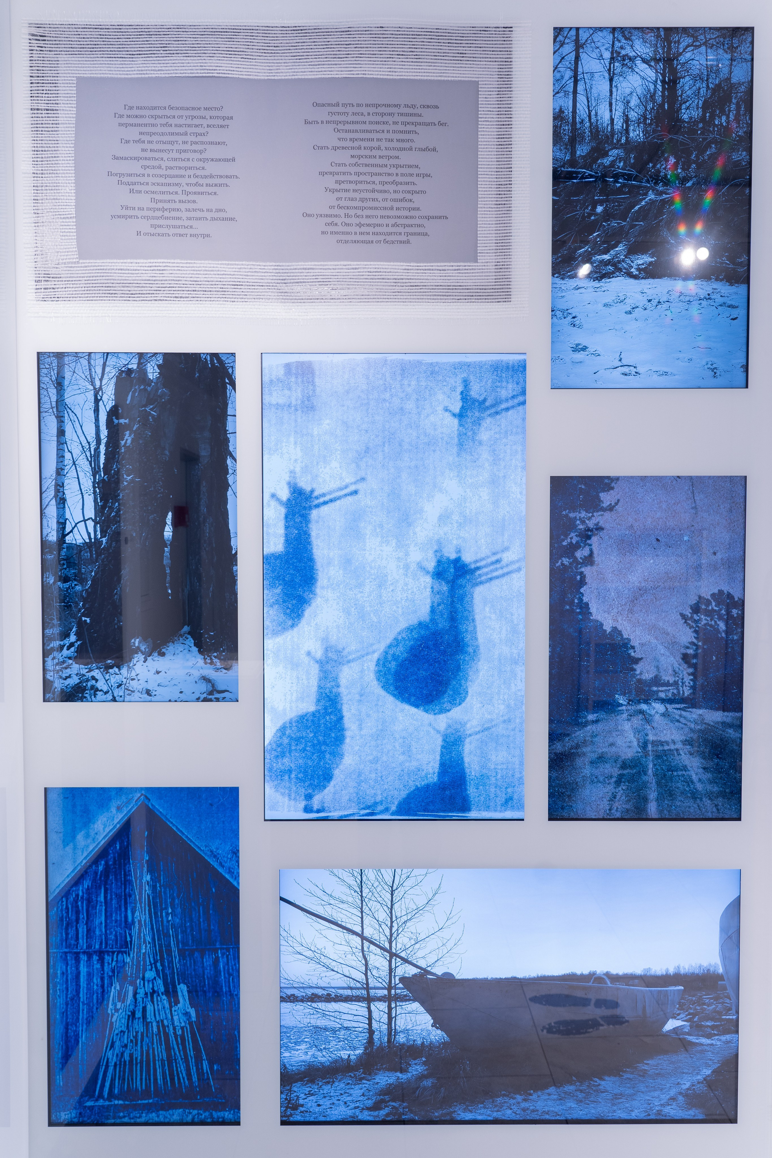 Укрытие. Катерина Эделева