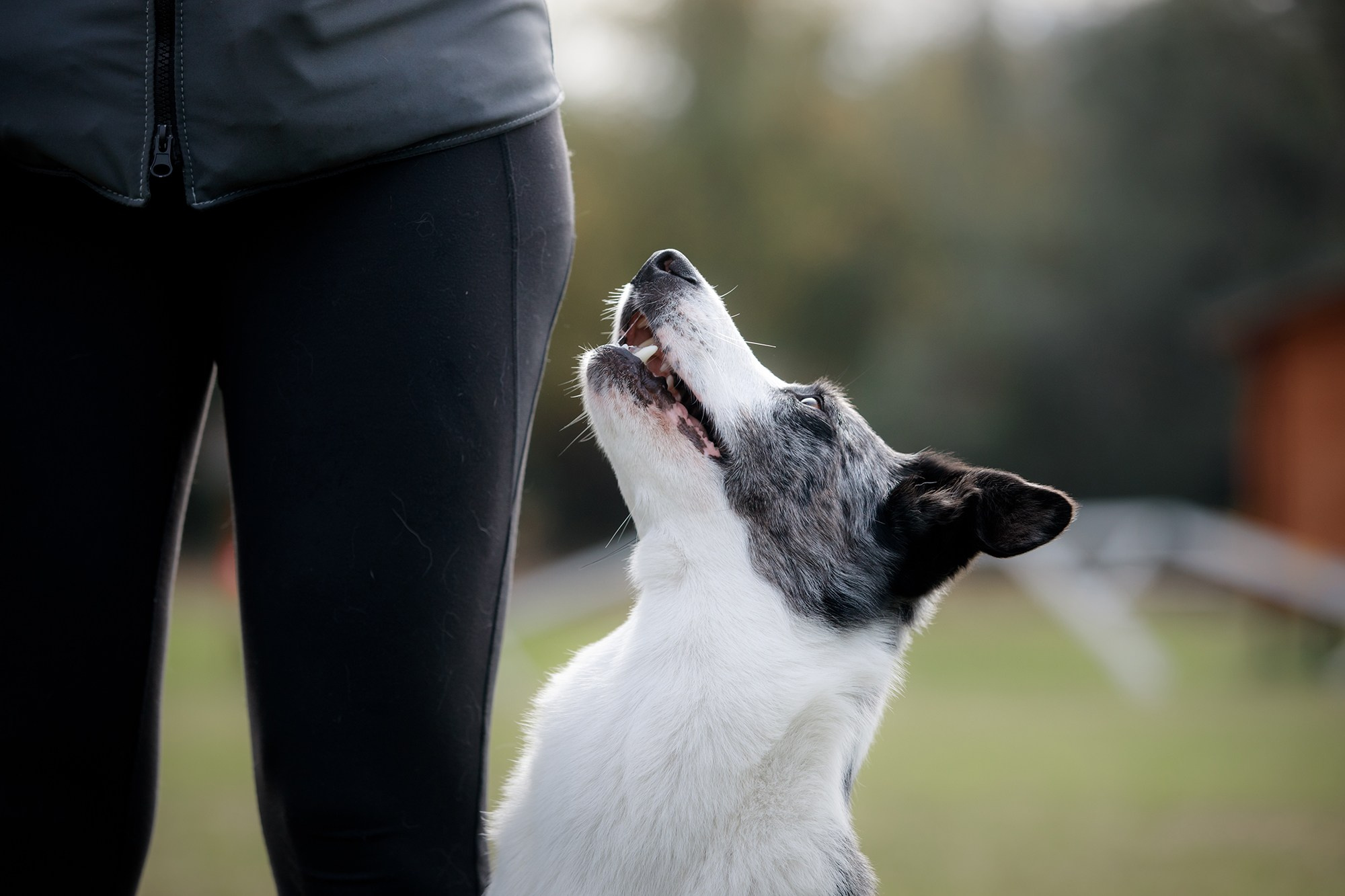 Лагерь по ОБД с Инной Баженовой. Фотограф-анималист Mary Mart — Москва, Питер
