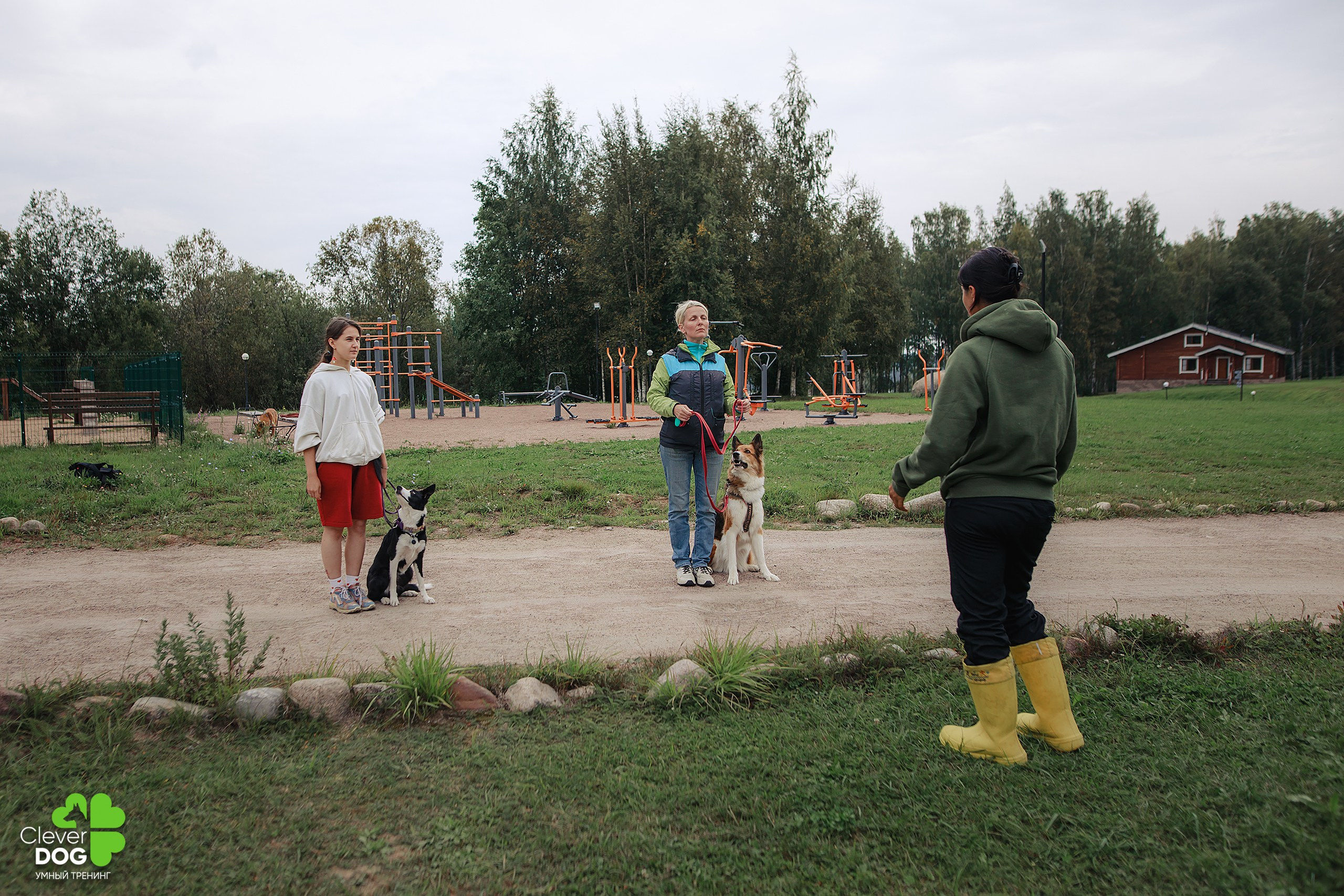 Кинологический лагерь CleverDog, 2024. Фотограф-анималист Mary Mart — Москва, Питер