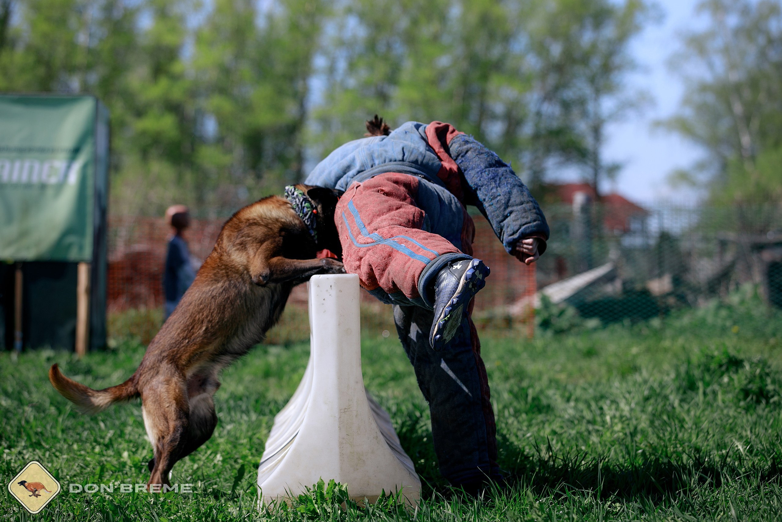 Семинар для фигурантов, день 3. Фотограф-анималист Mary Mart — Москва, Питер