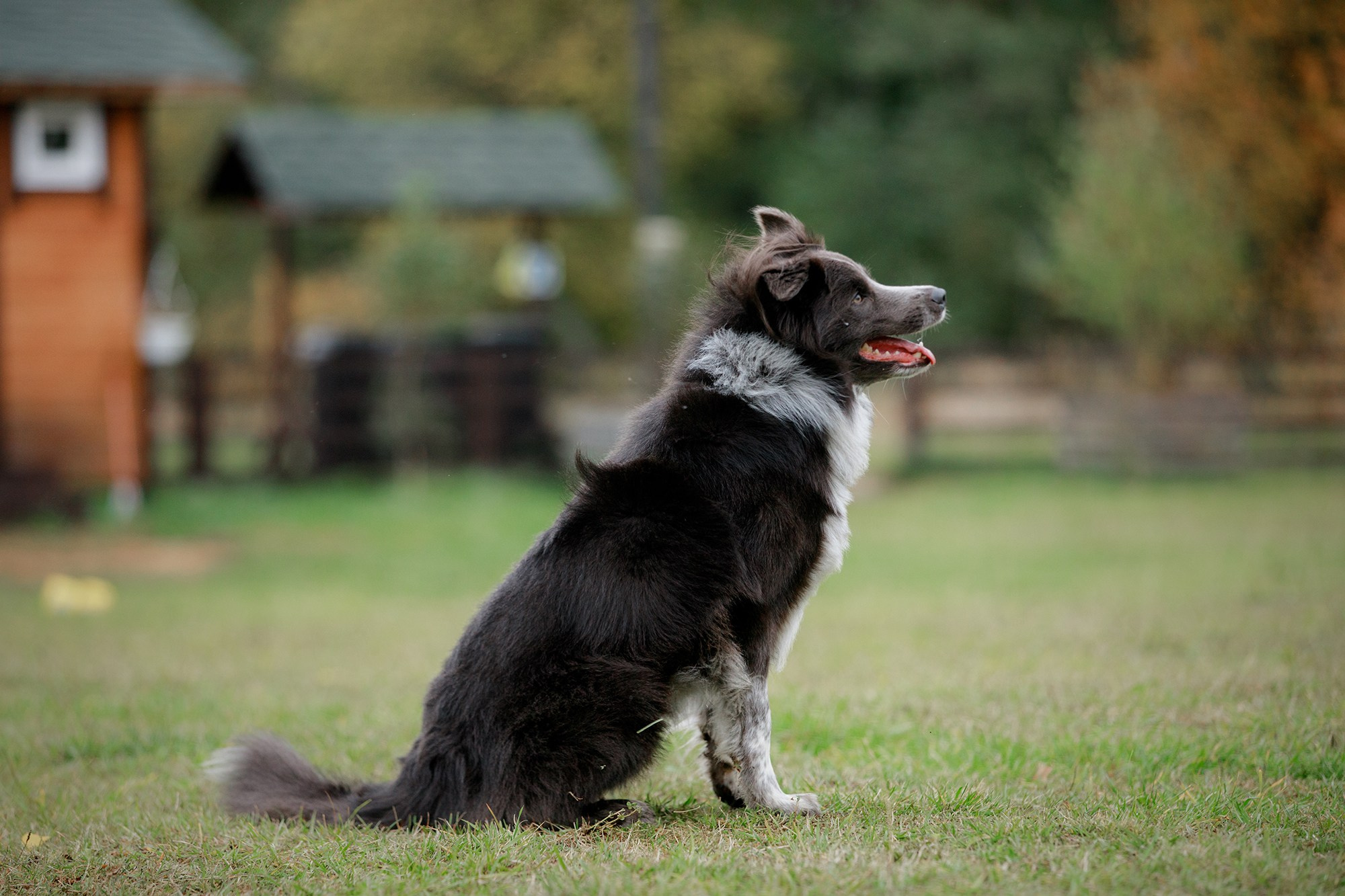 Лагерь по ОБД с Инной Баженовой. Фотограф-анималист Mary Mart — Москва, Питер