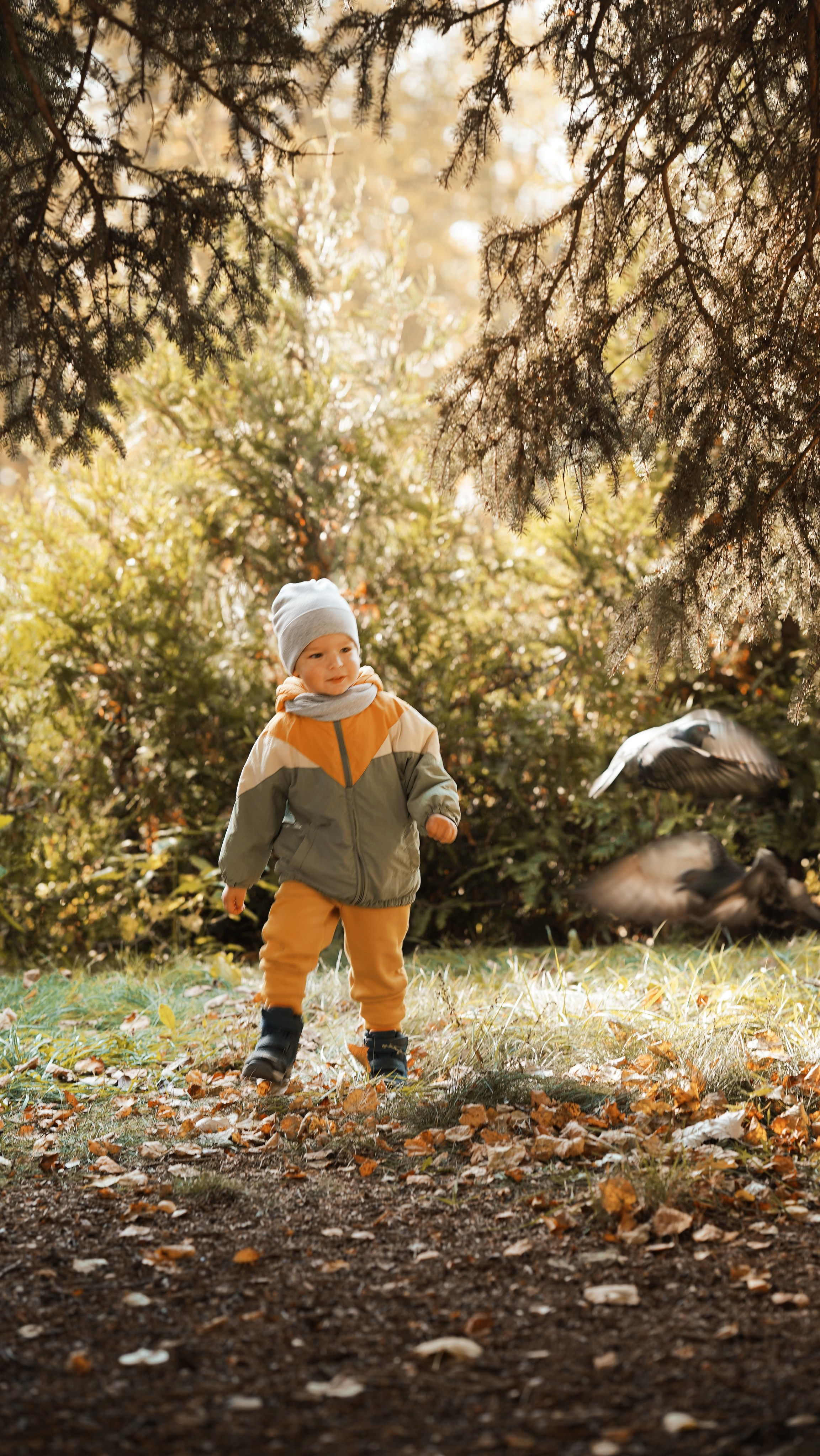 Детская осенняя прогулка. Фотограф Надежда Жемкова. Фотосъёмка, ретушь, фотомонтаж для вас и вашего бизнеса