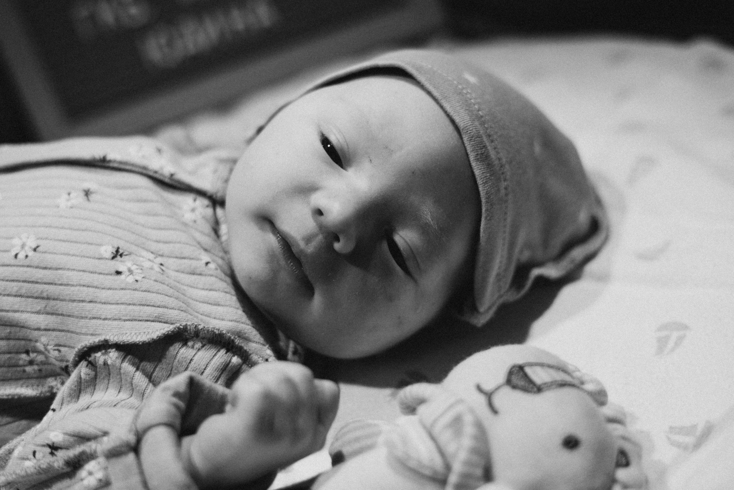 первый крик лапино