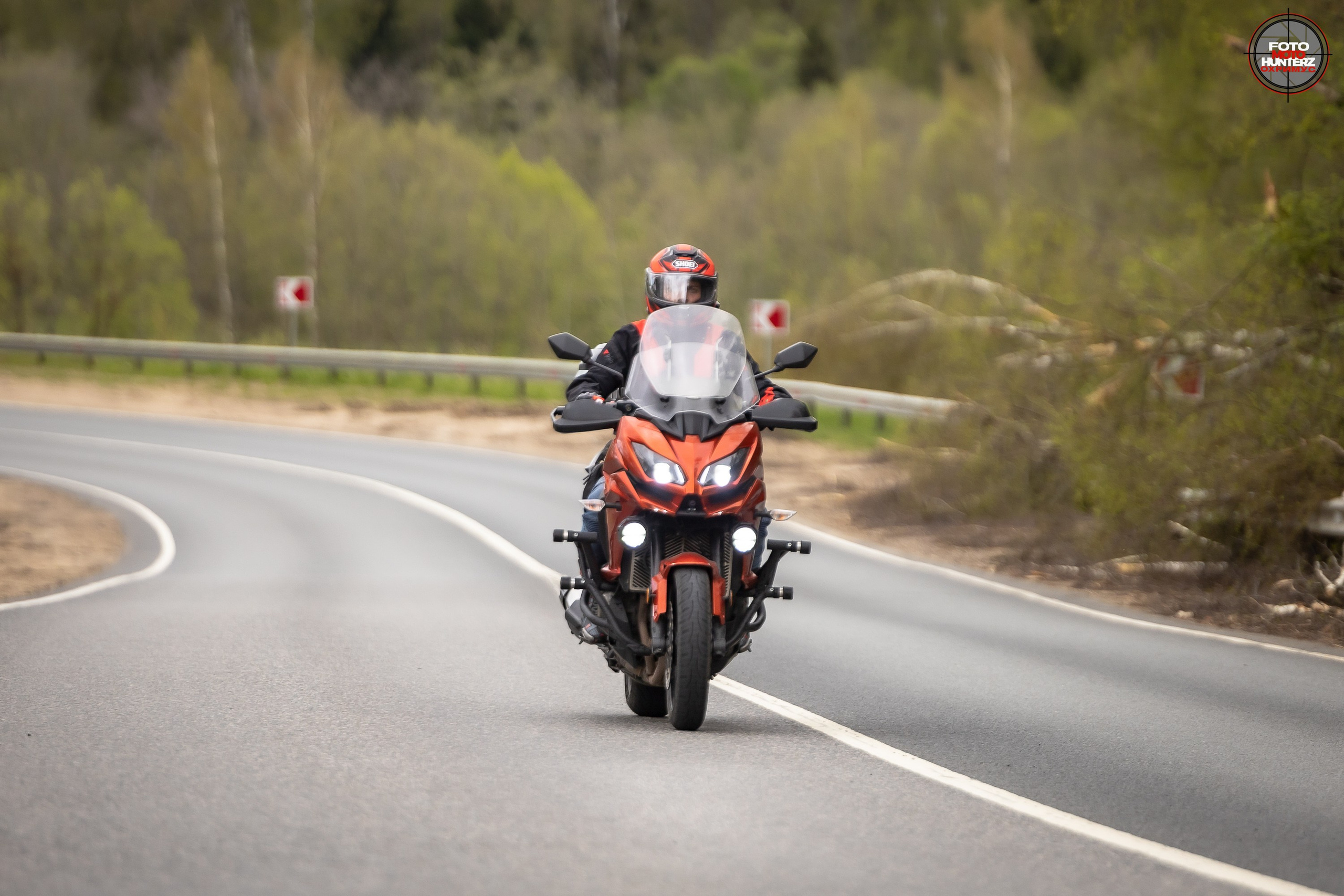 Первое Сафари в 2025 г. на Рогачевском ш. Фотограф Владимир Охрименко