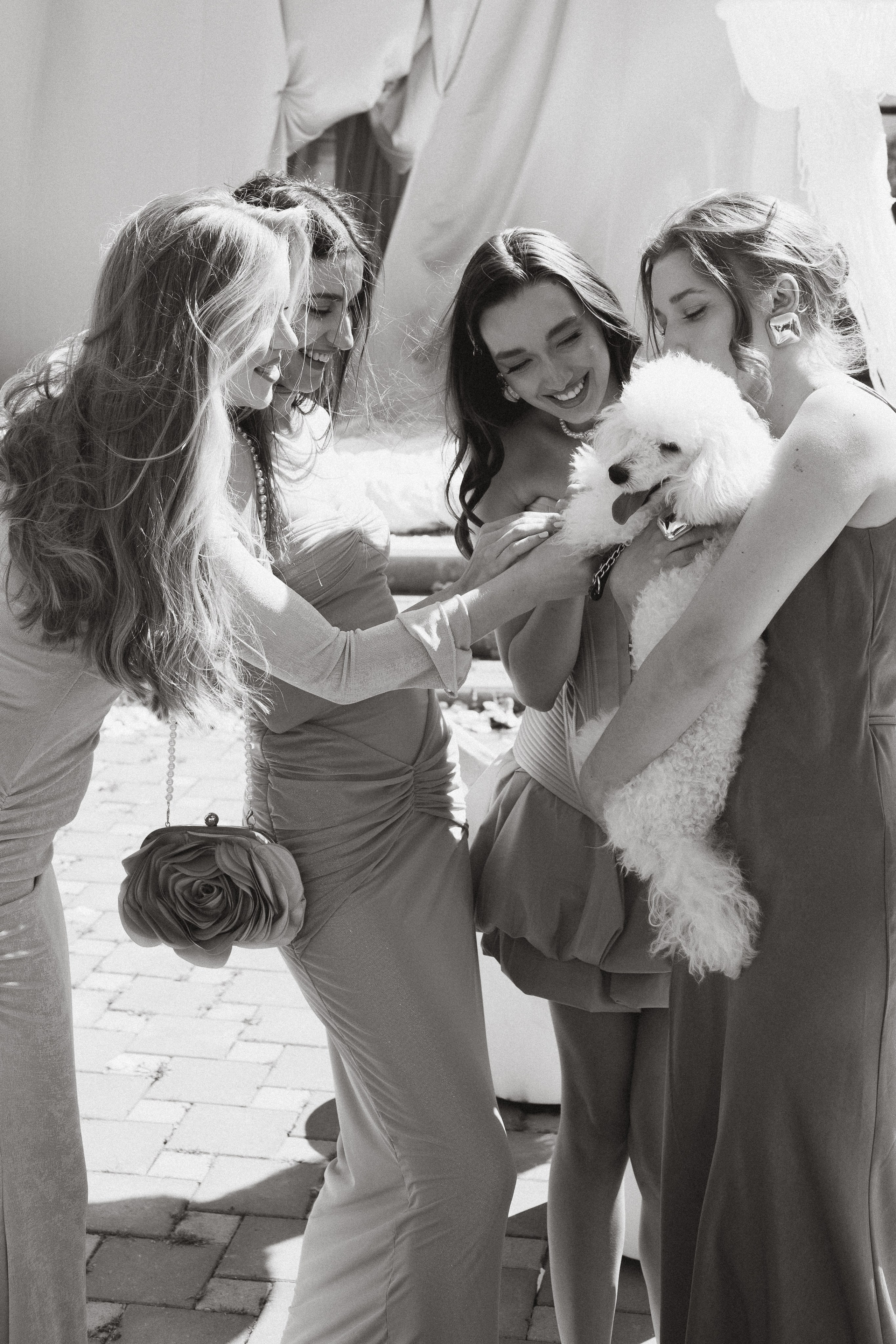 Pink. Свадебный фотограф в Краснодаре Елизавета Горшенёва