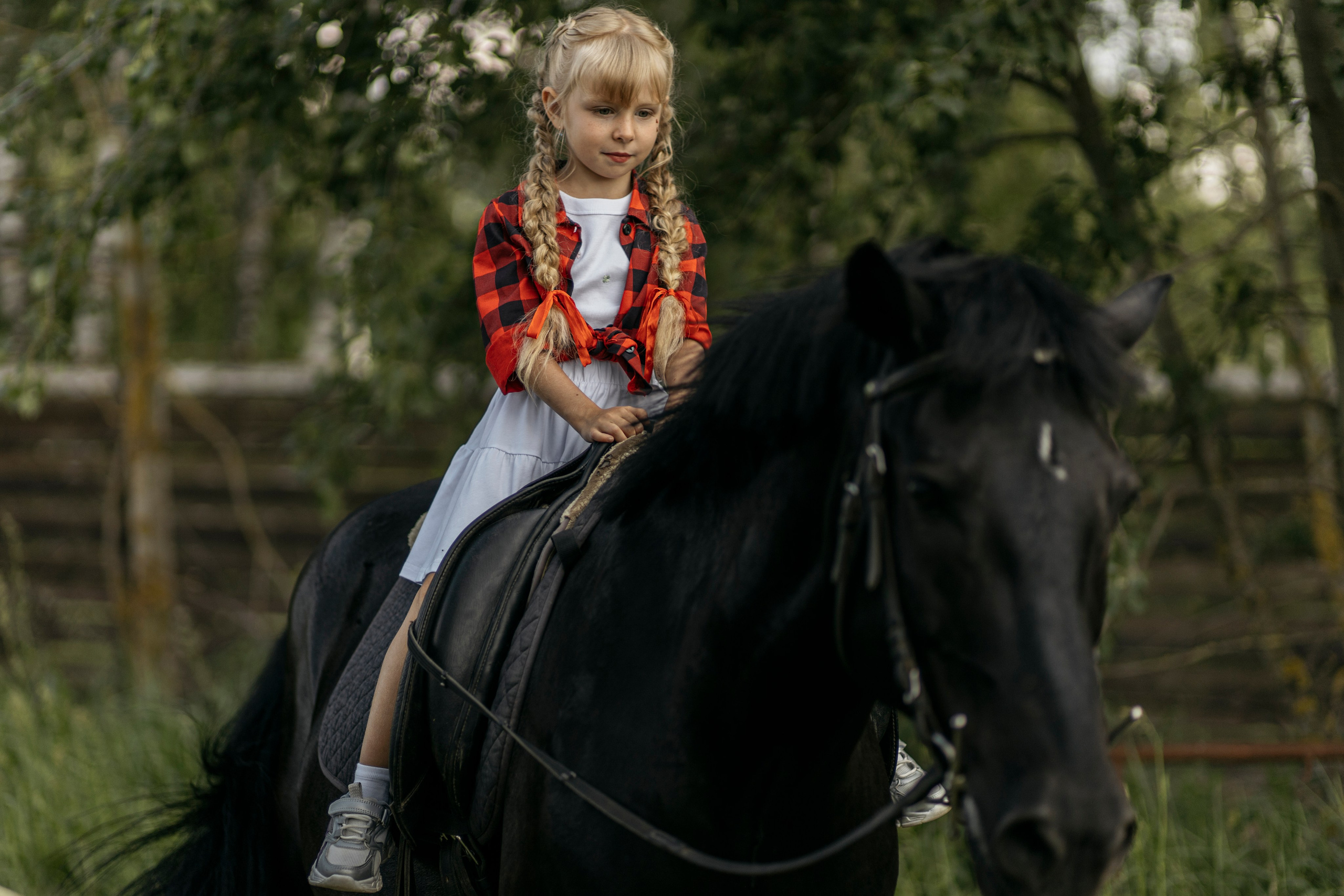 Семейная прогулка с лошадкой. Семейный и детский фотограф в Рязани Васюгова Мария