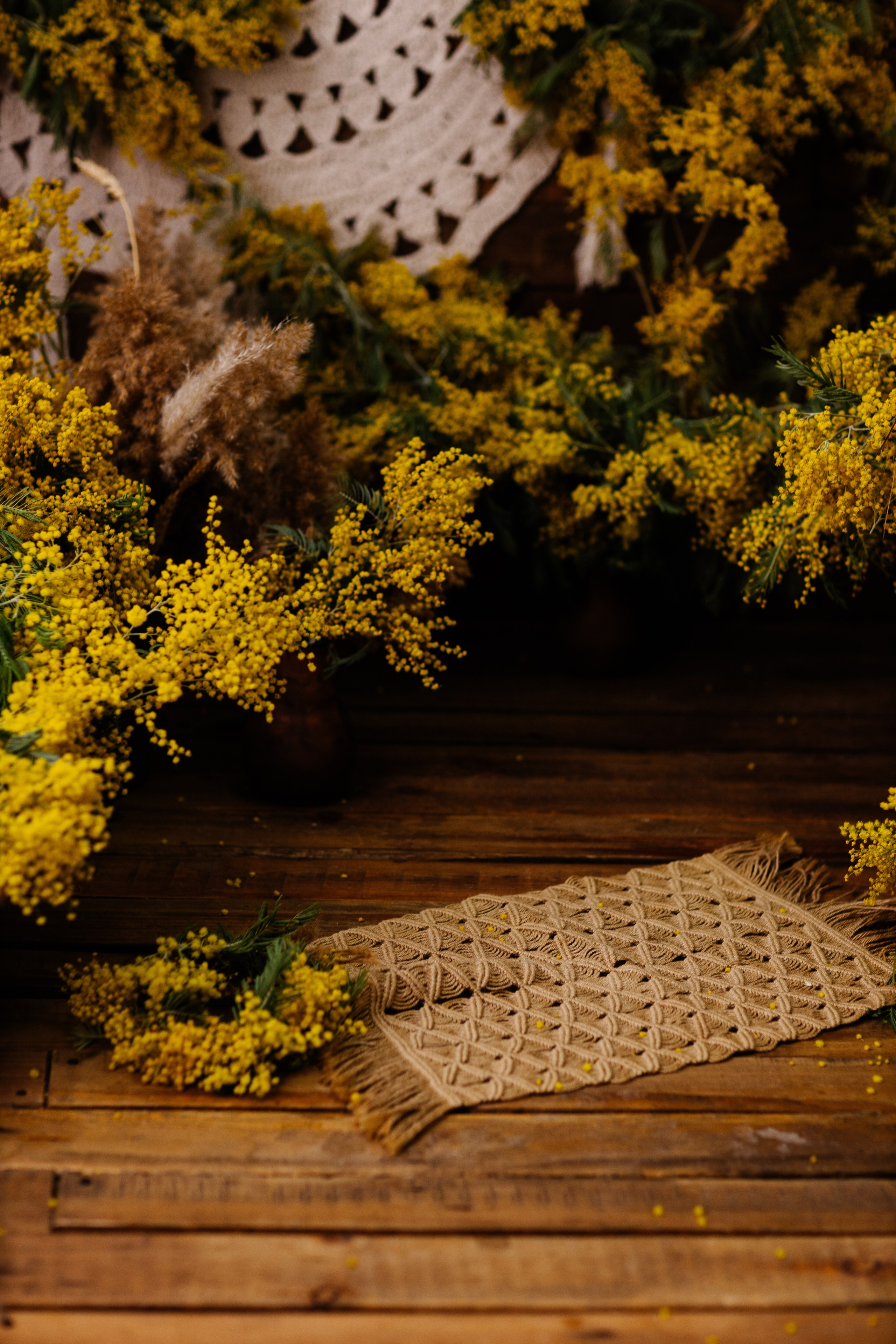 СТУДИЯ ОФоРМЛЕНИЕ. Фотограф новорожденных и семей Туапсе Краснодарский край Анна Альтман