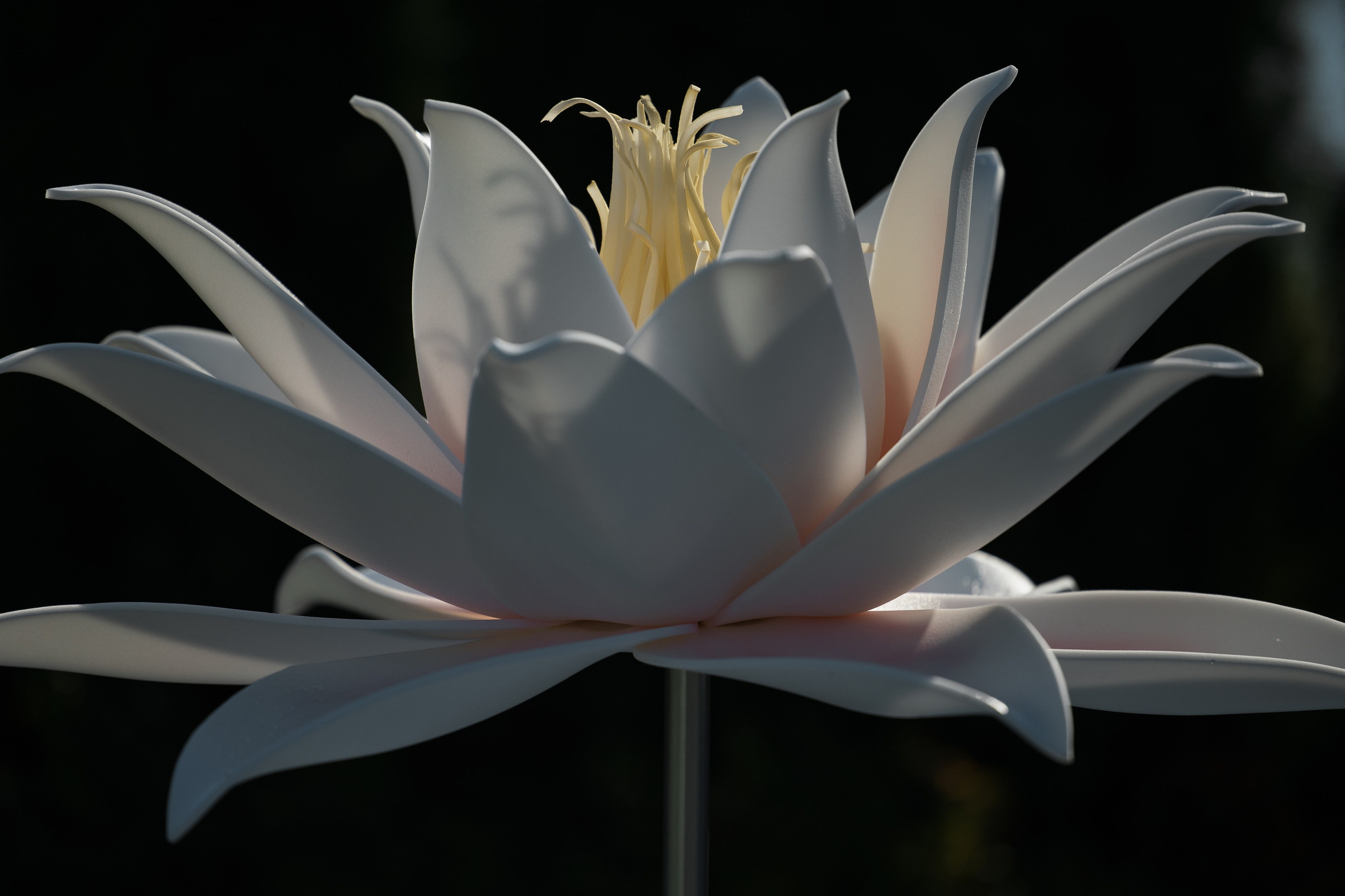 Bayer. Репортажный фотограф Санкт-Петербург, Москва