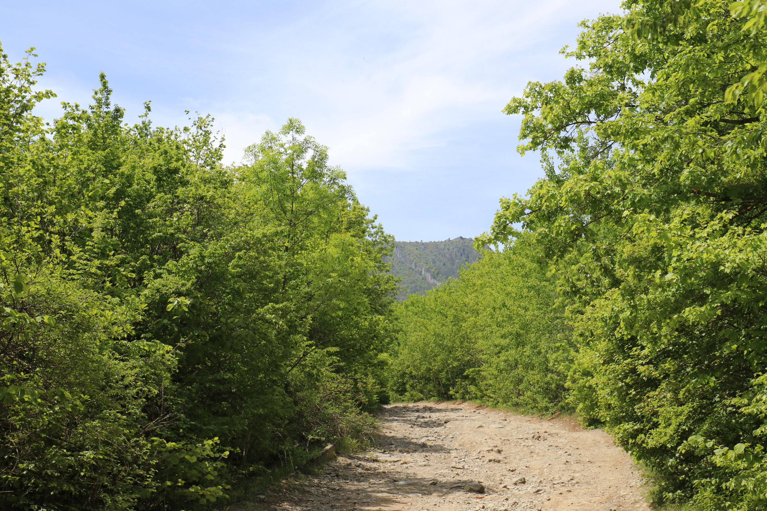 Крым. ЮБК (Бахчисарай, Демерджи, Судак). Первый скалолазный выезд. Май 2019. Путешественник-фотограф из Санкт-Петербурга Татьяна Свистулина