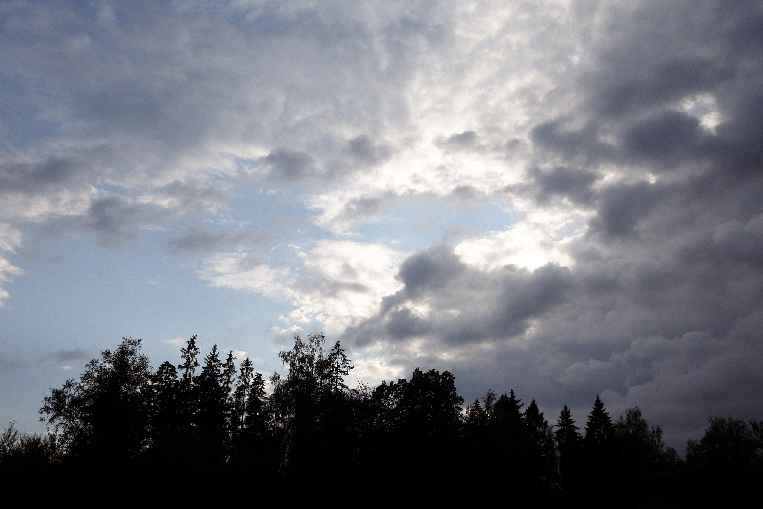 «Магия выставленного света» — Анна и Милан. Свадебный и семейный фотограф в Москве Ломова Ирина