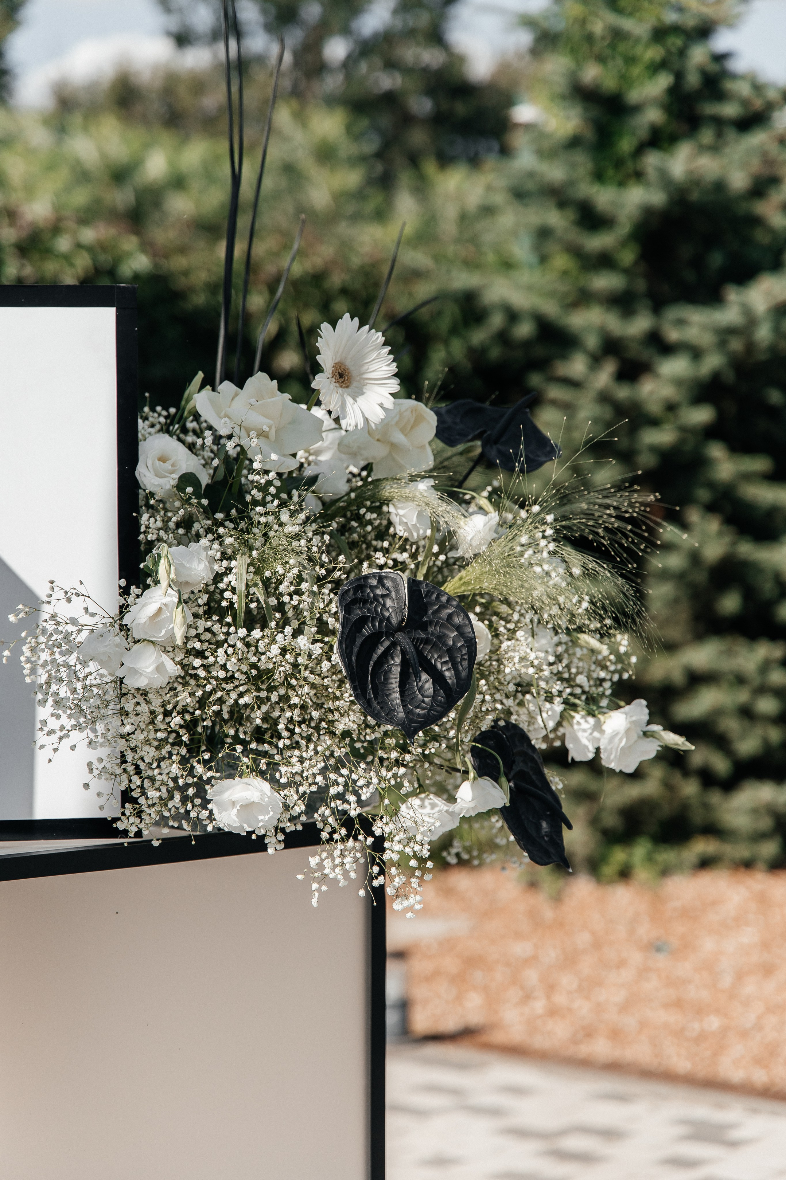 I&A. Фотограф Таганрог Хребет София