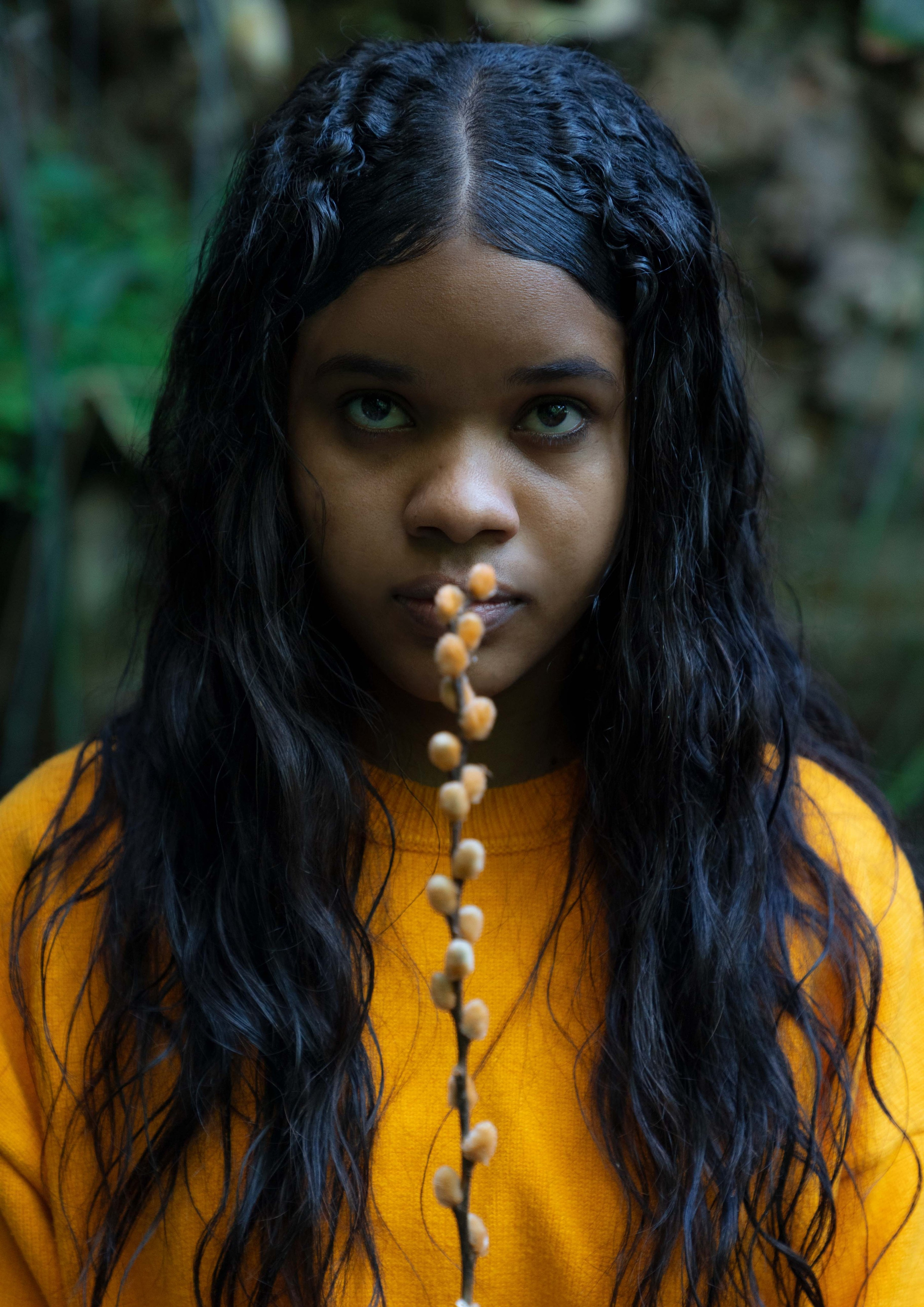 Metamorphoses. Photografer