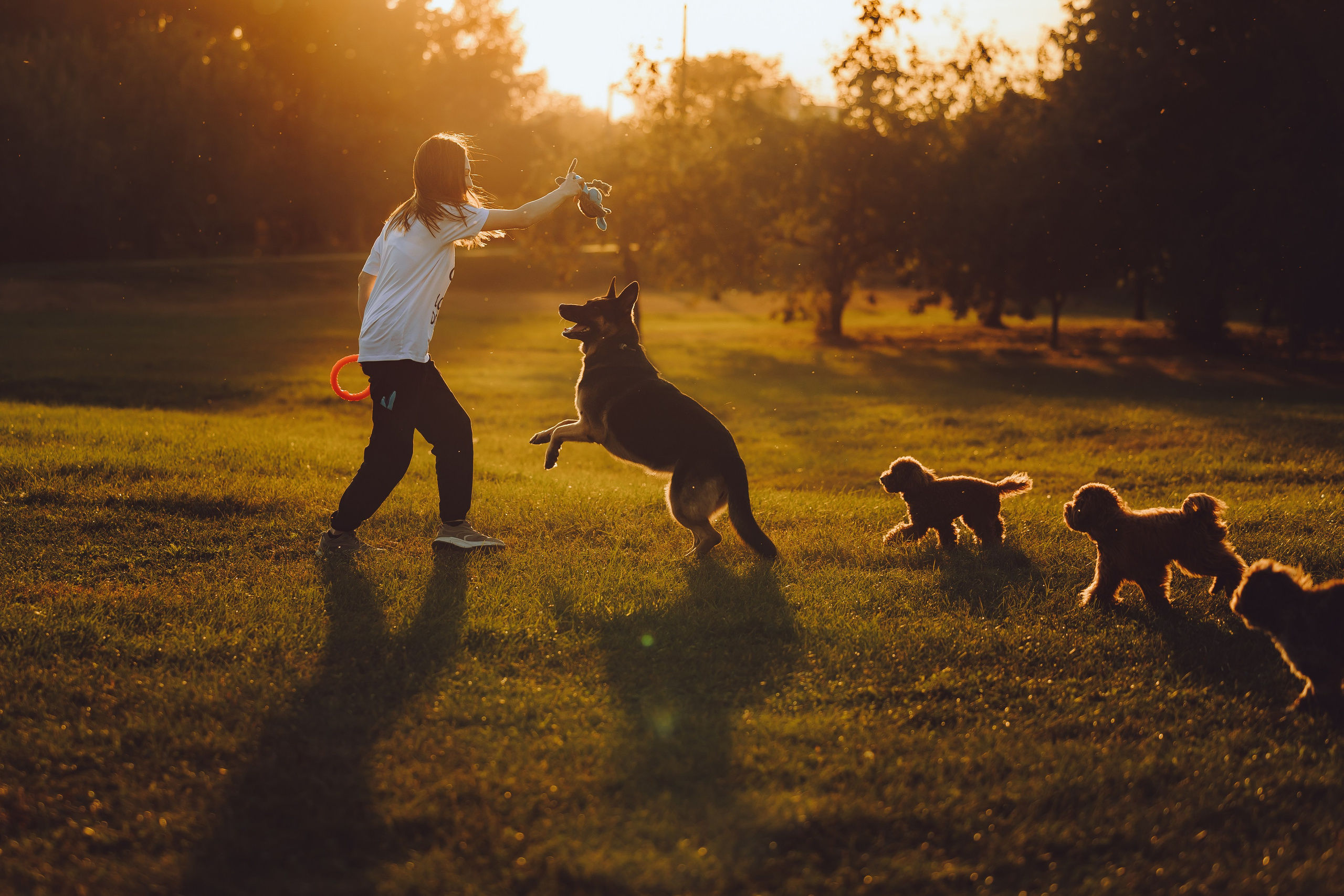 Кристина и все-все