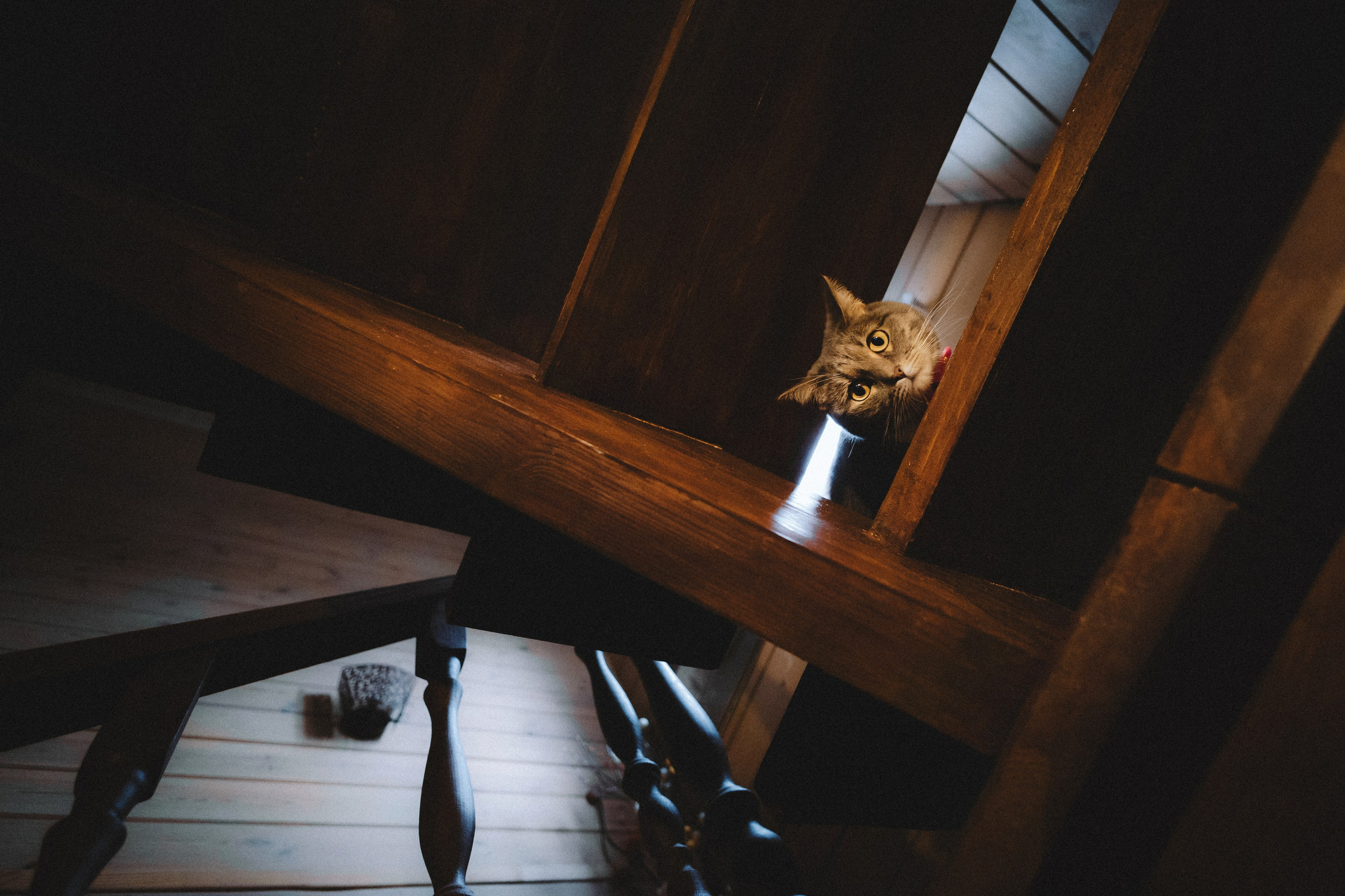 Леброн, Муся и их семья