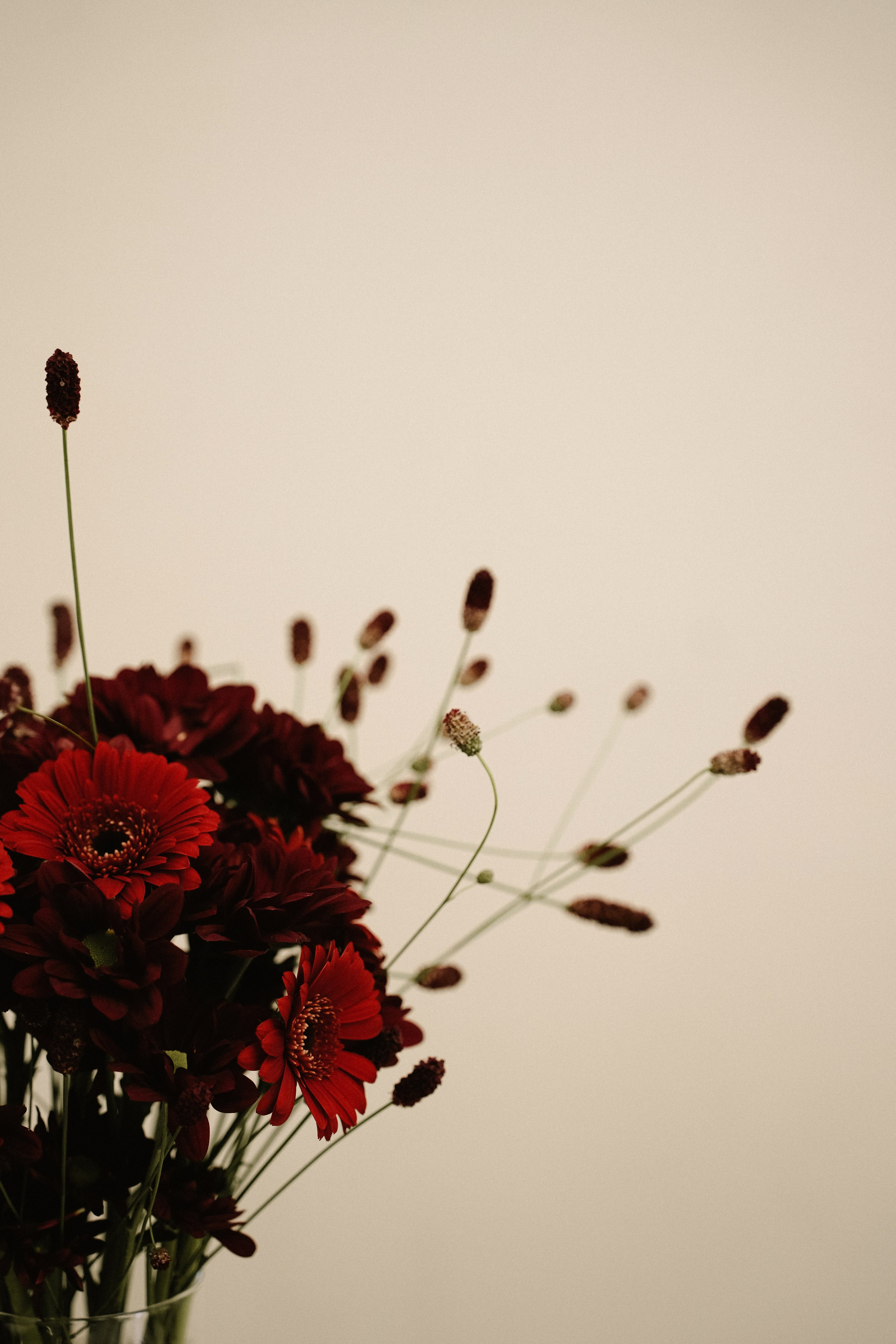 Свадьба 04.06.2026. Photographer_anastasia_margushina