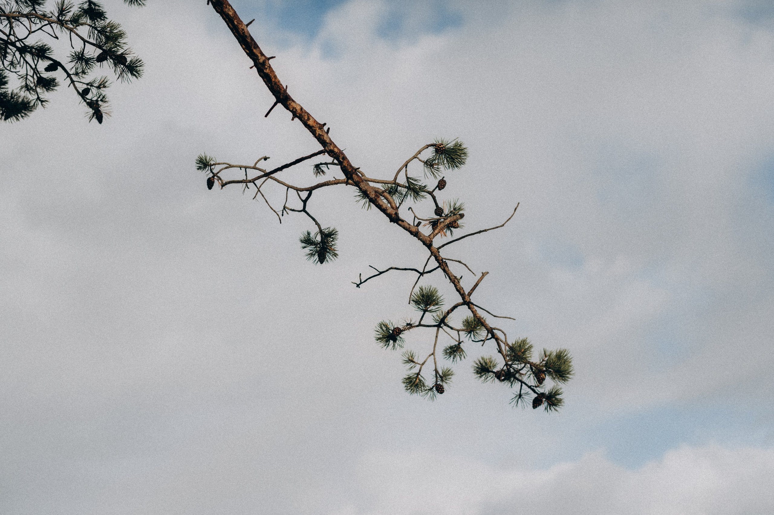 Первый снег. Фотограф Наталья Могилевская Мурманск Териберка Сейдозеро Рыбачий