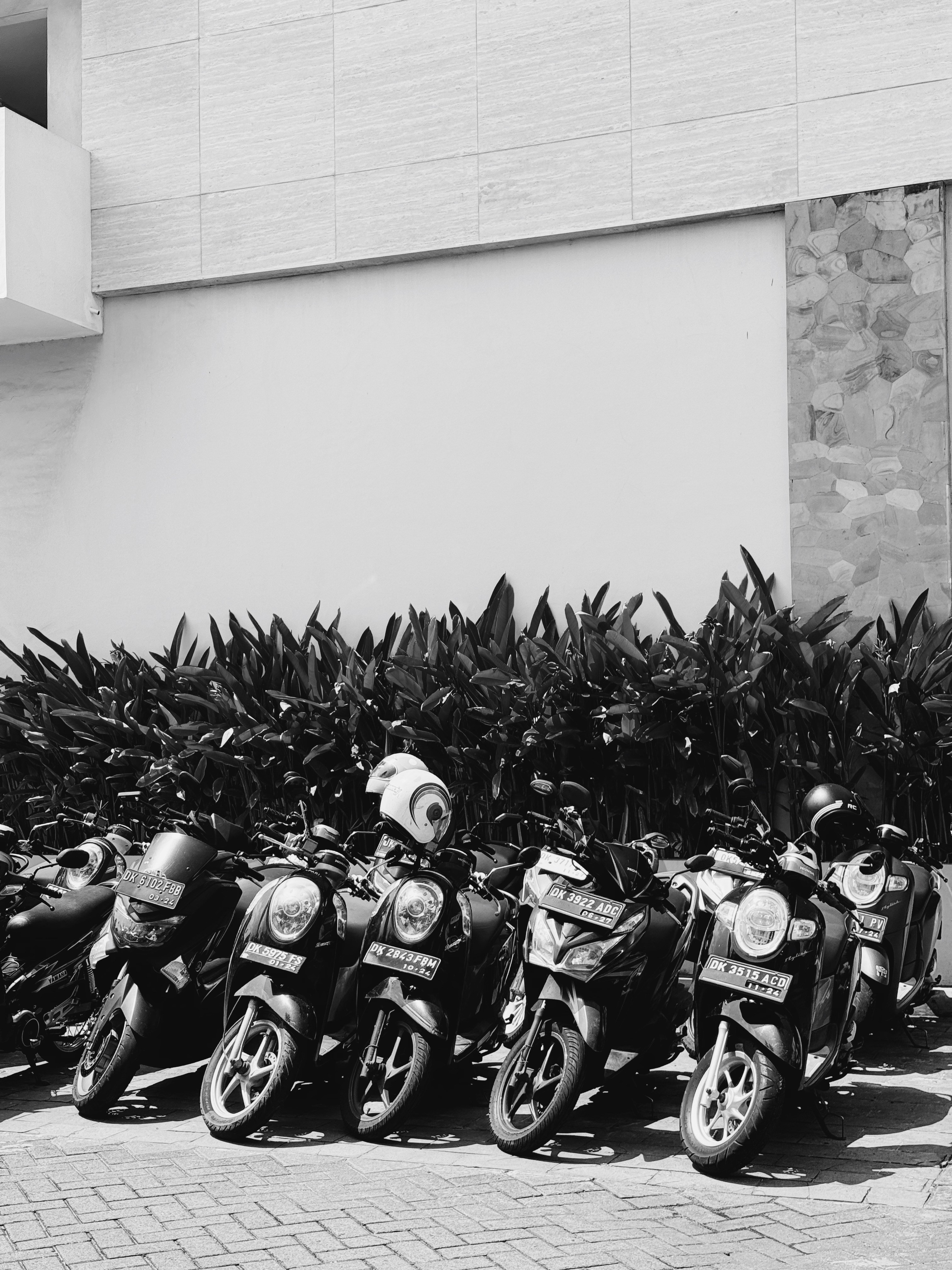 Elements. Carolinetru