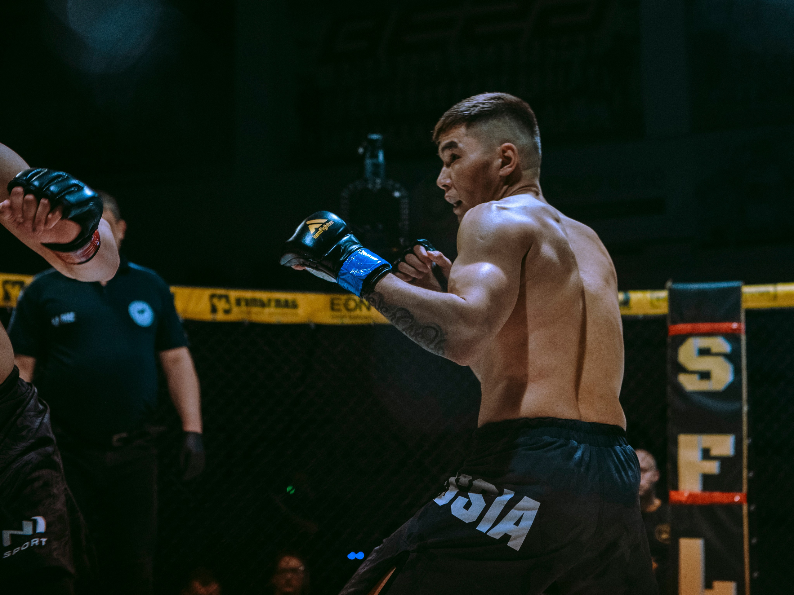 SFL 17 | Siberian Fighting League. Портретный фотограф в Москве Дарья Цезария