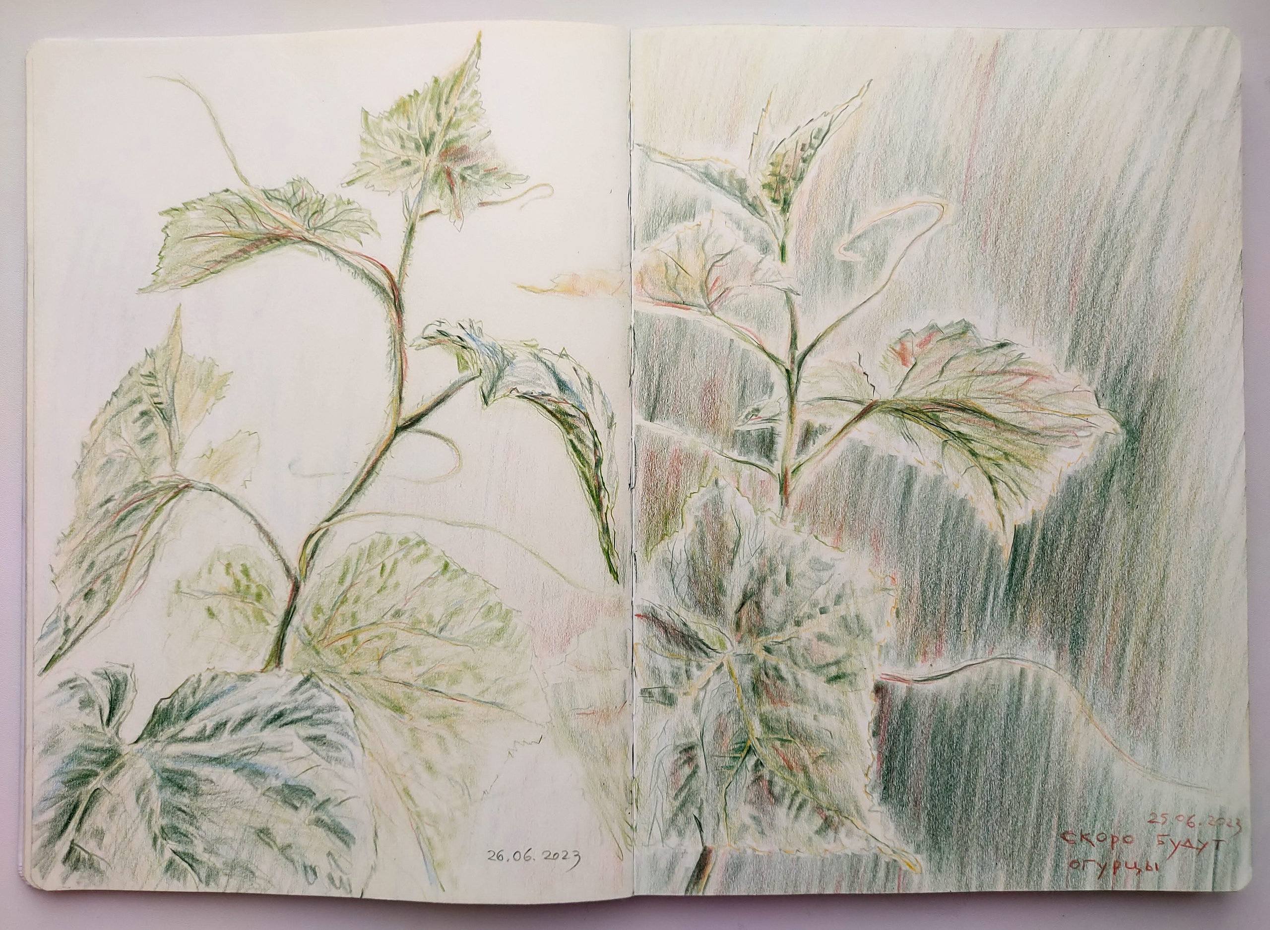 Quick Sketches. Alexander Manaenkov | Watercolor Artist from Siberia