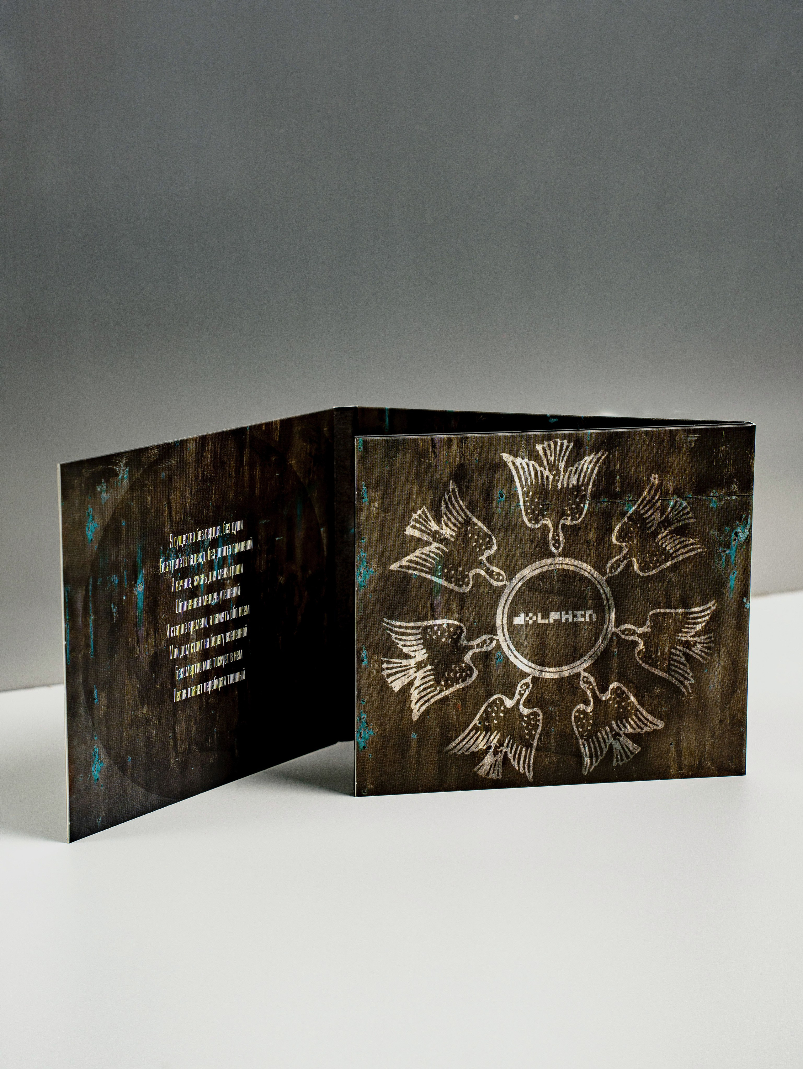 Дельфин. Портретный фотограф Москва Белогорцев Сергей