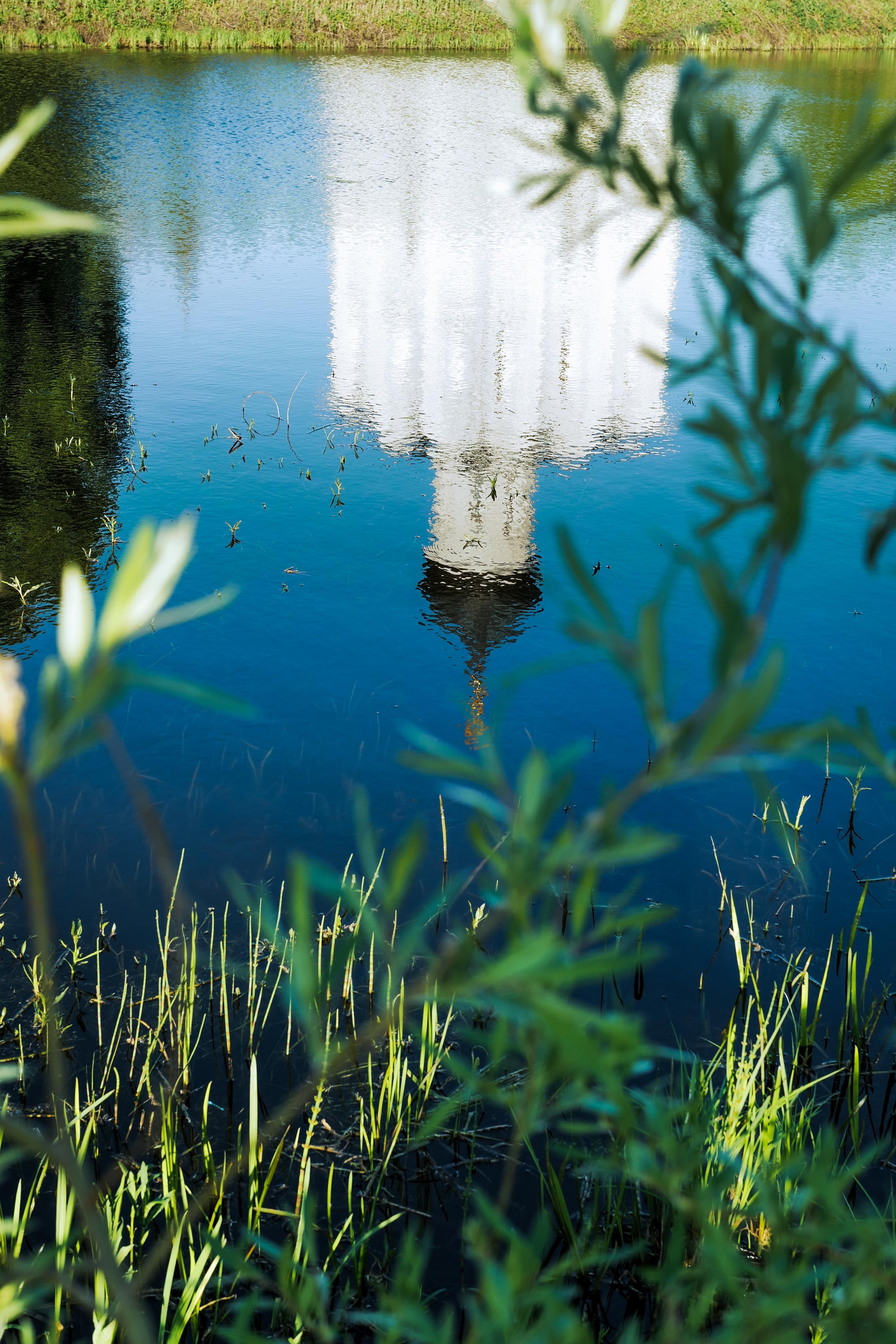 Vladimir. Фотограф Евгения Добротворская