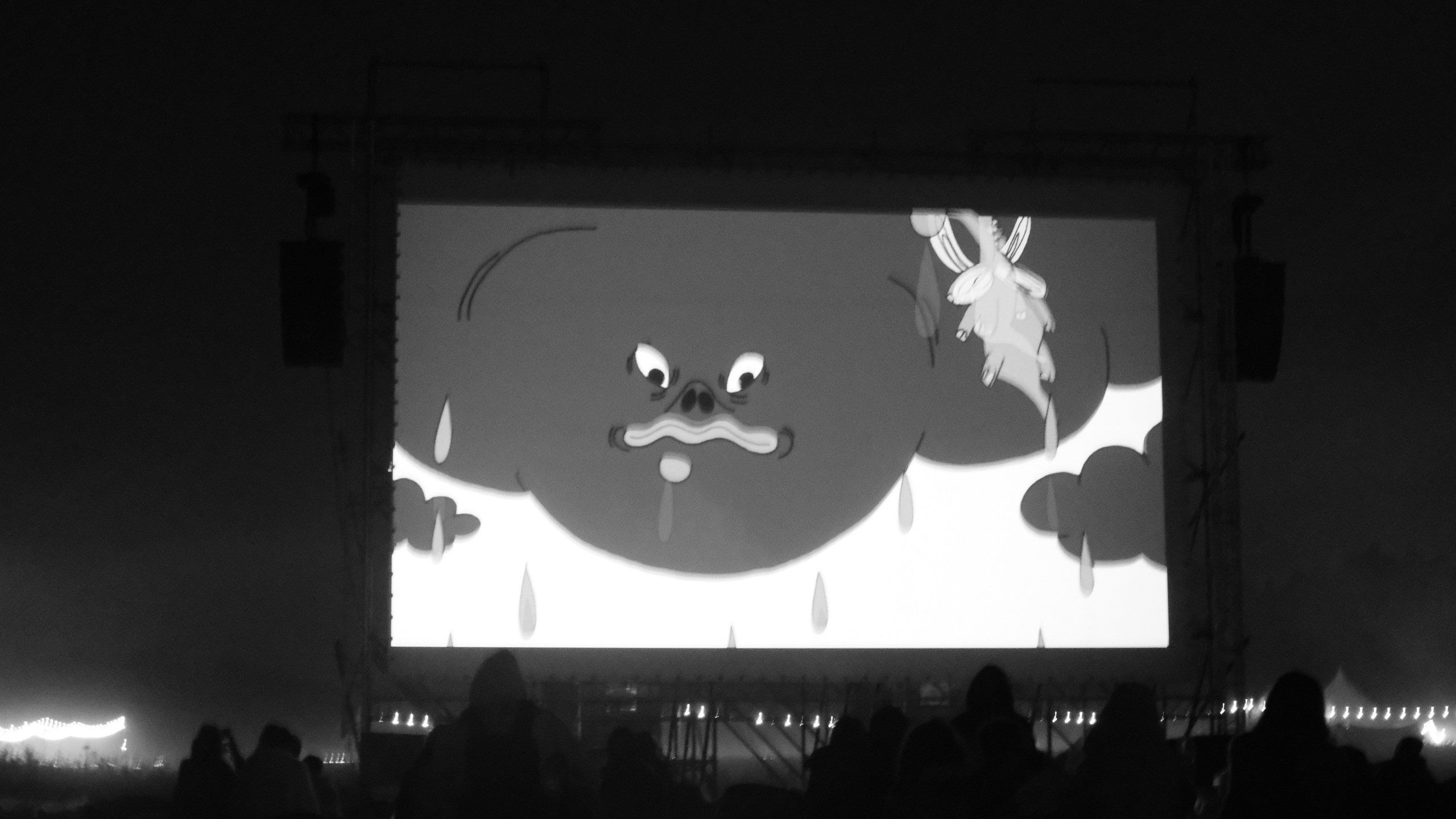 Insomnia2024. Фотограф и видеограф Апокина Мария Москва