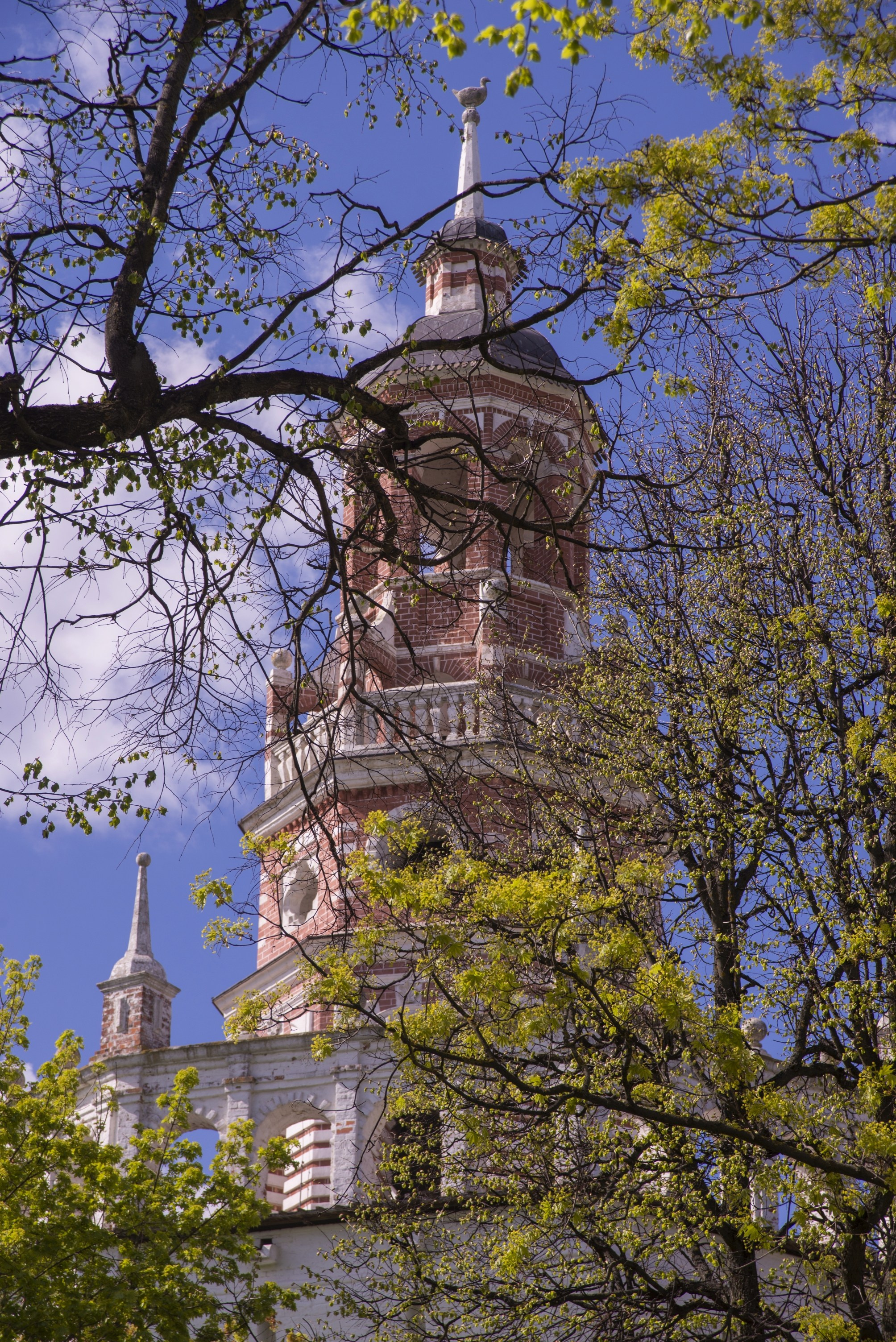 Сергиев Посад. Май 2025. Игорь Жучков. Россия увиденная глазами путешествующего фотографа