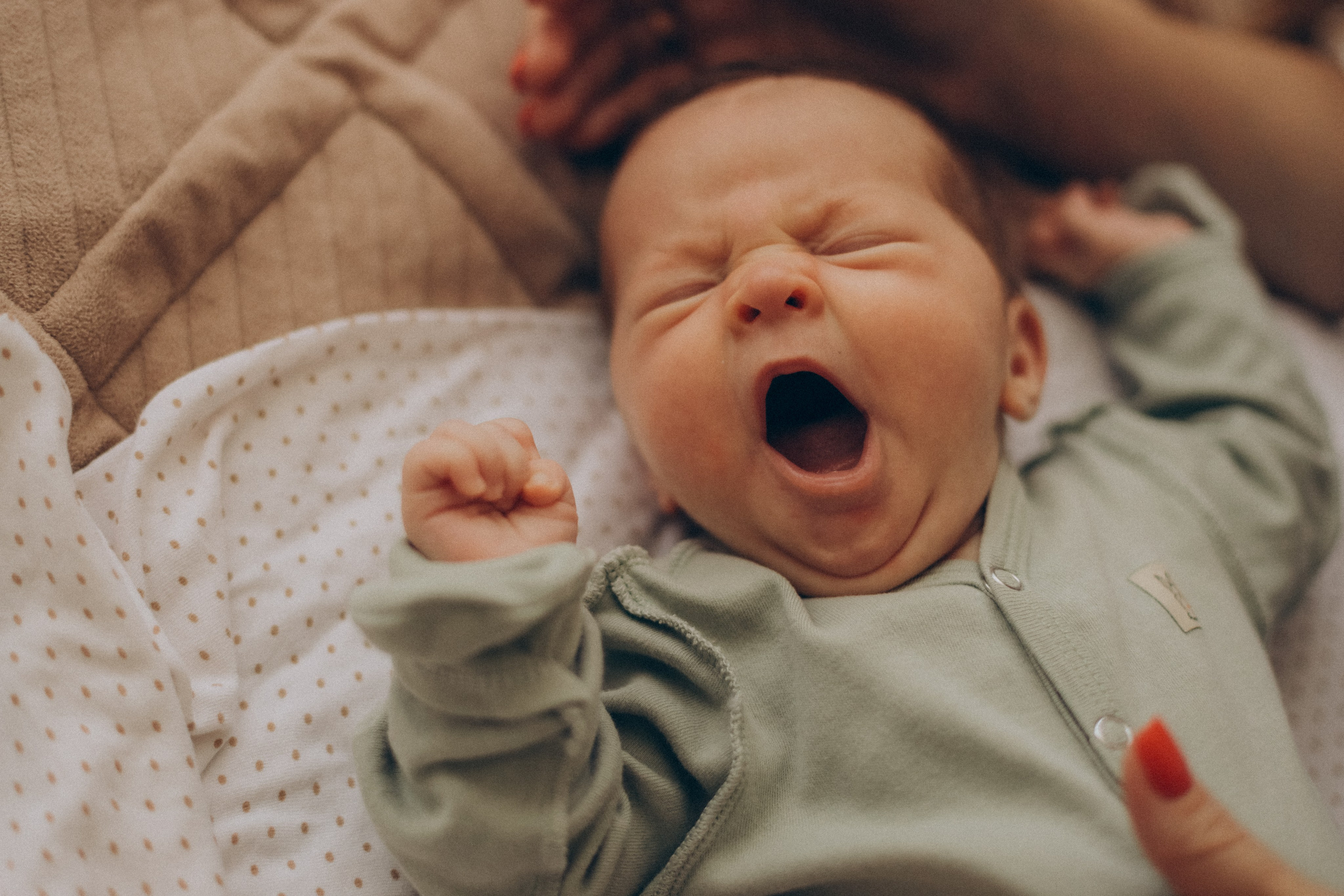 Лиля, Антон, Тимоша, Мария и Татьяна. Семейный фотограф Анапа
