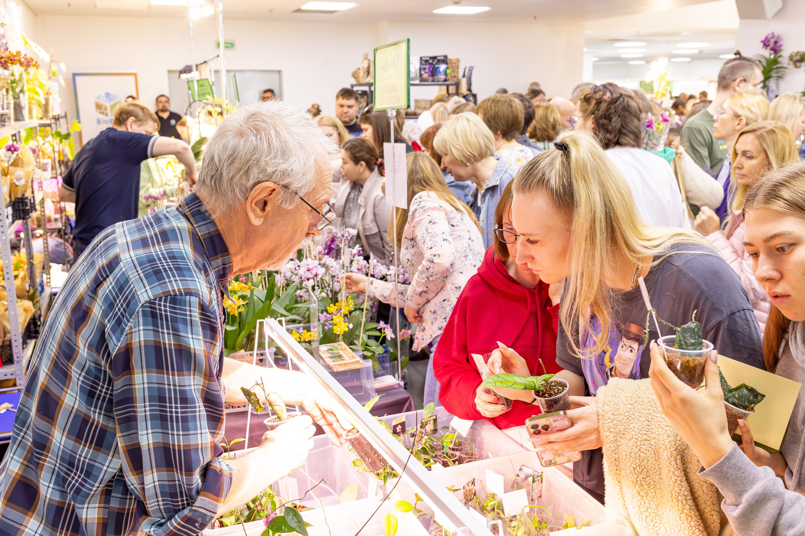 Орхидиум май 2025. Александра Куликова фотограф, Москва
