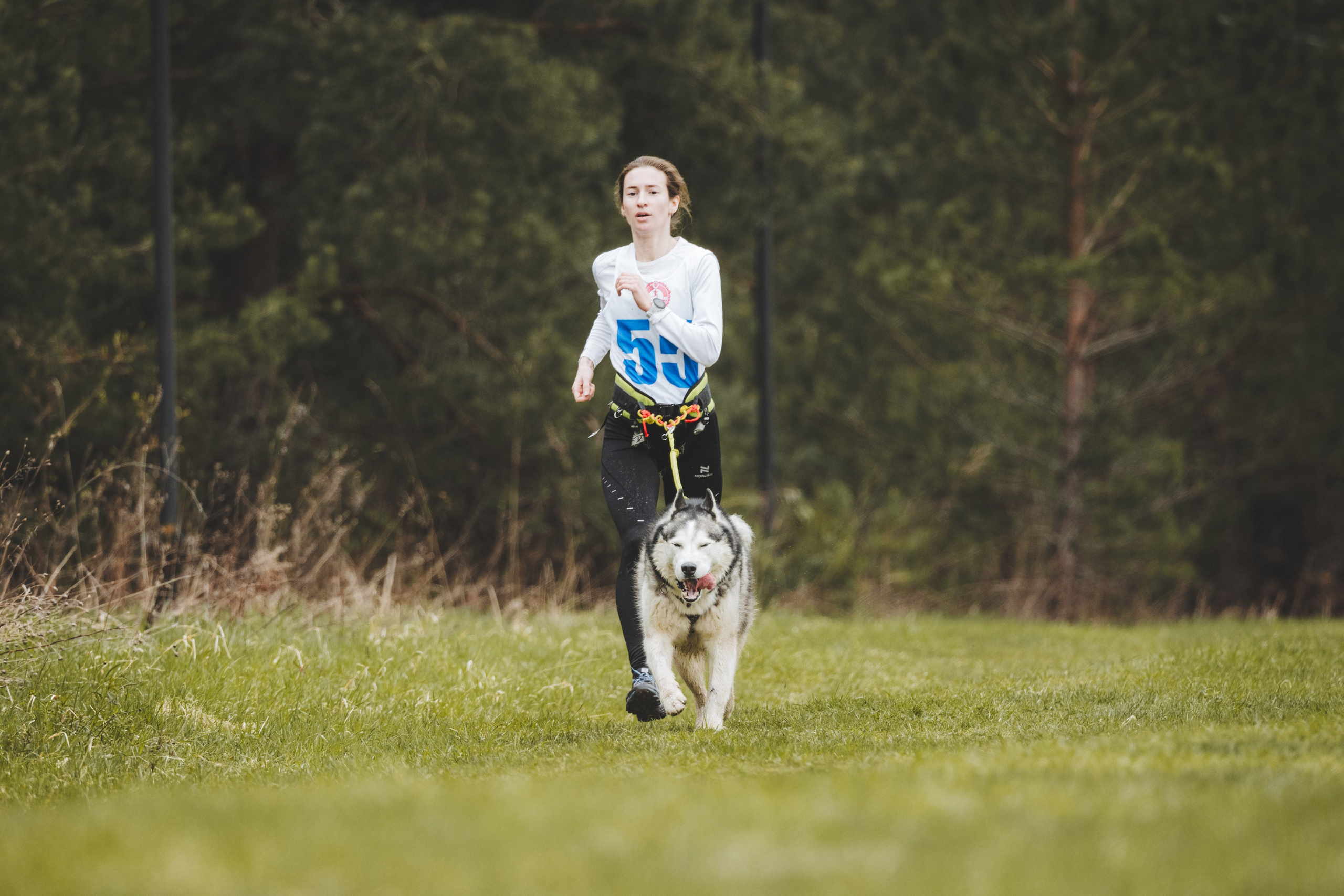 Почёвинский драйдленд. Фотограф Ирина Астор