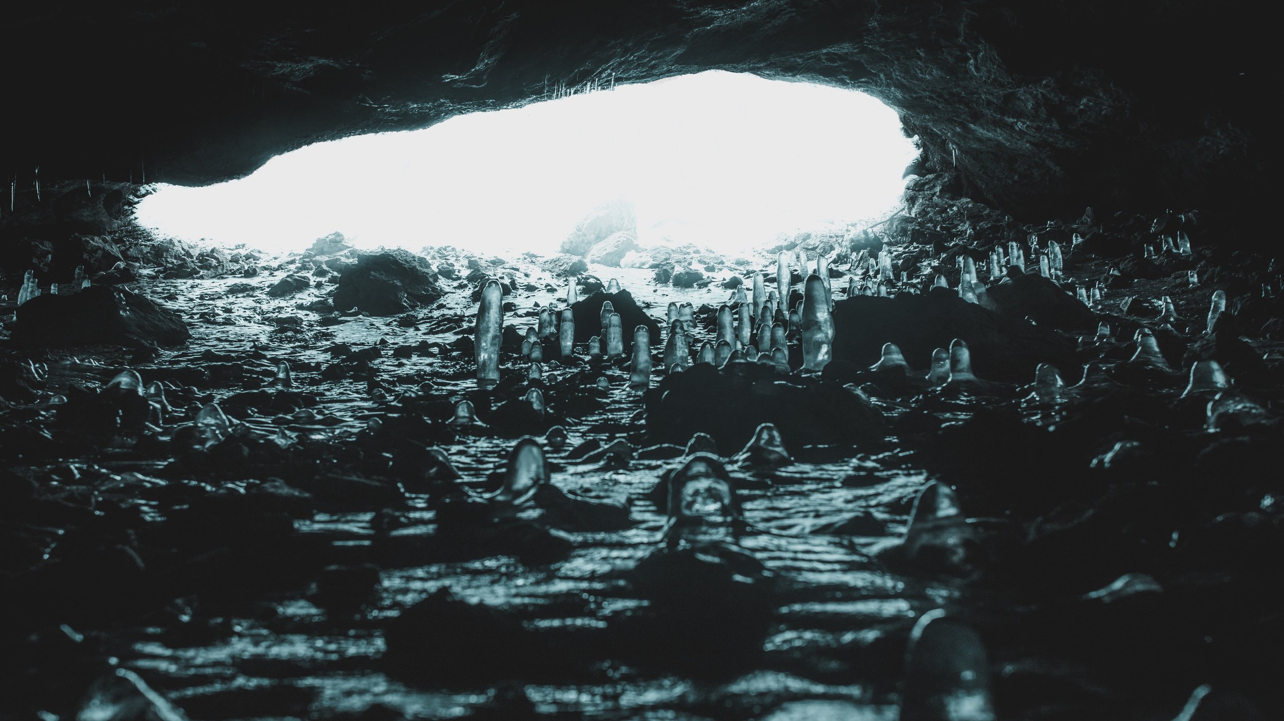 Nature. Артем Корнев Фотограф