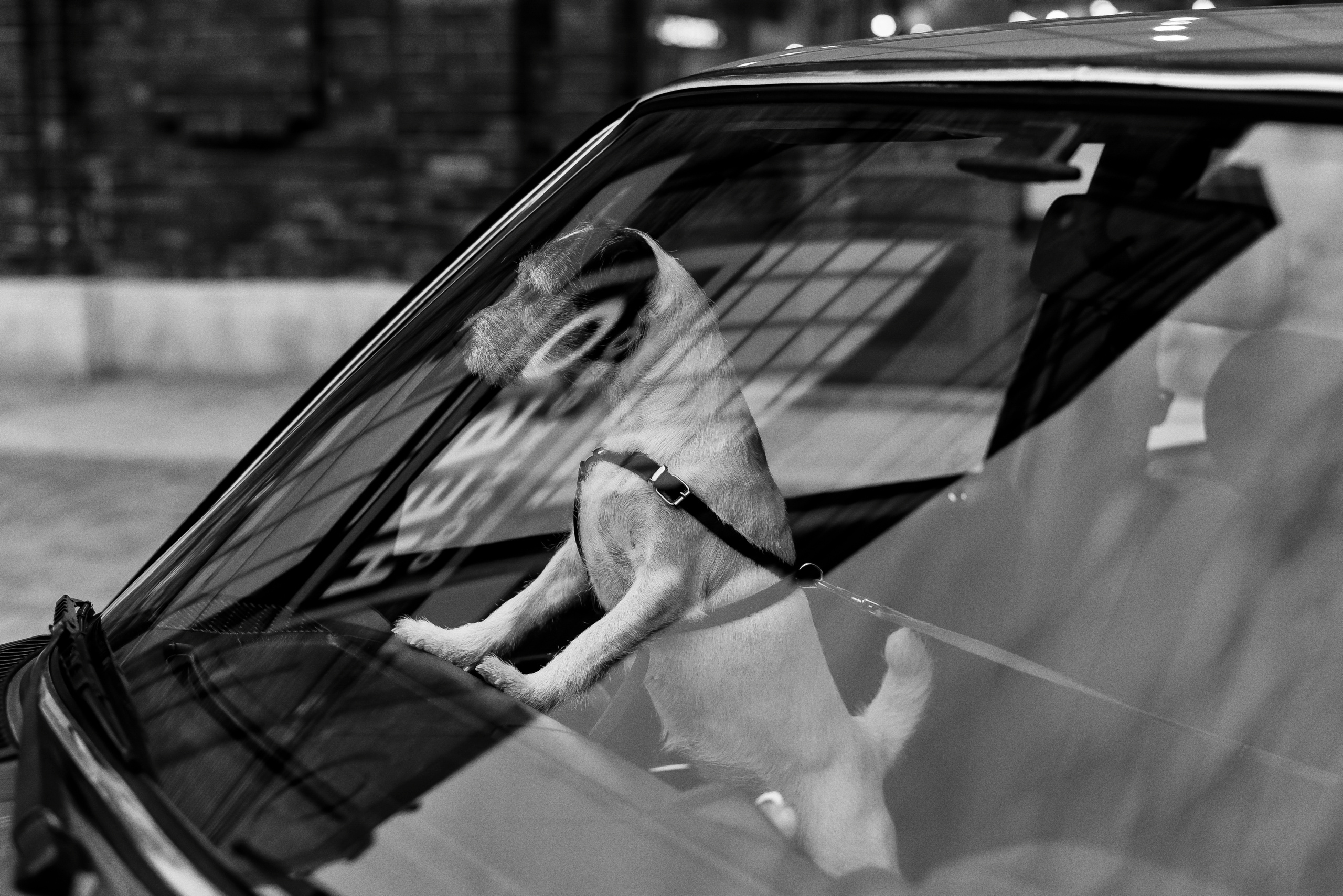 Непривычное Love story