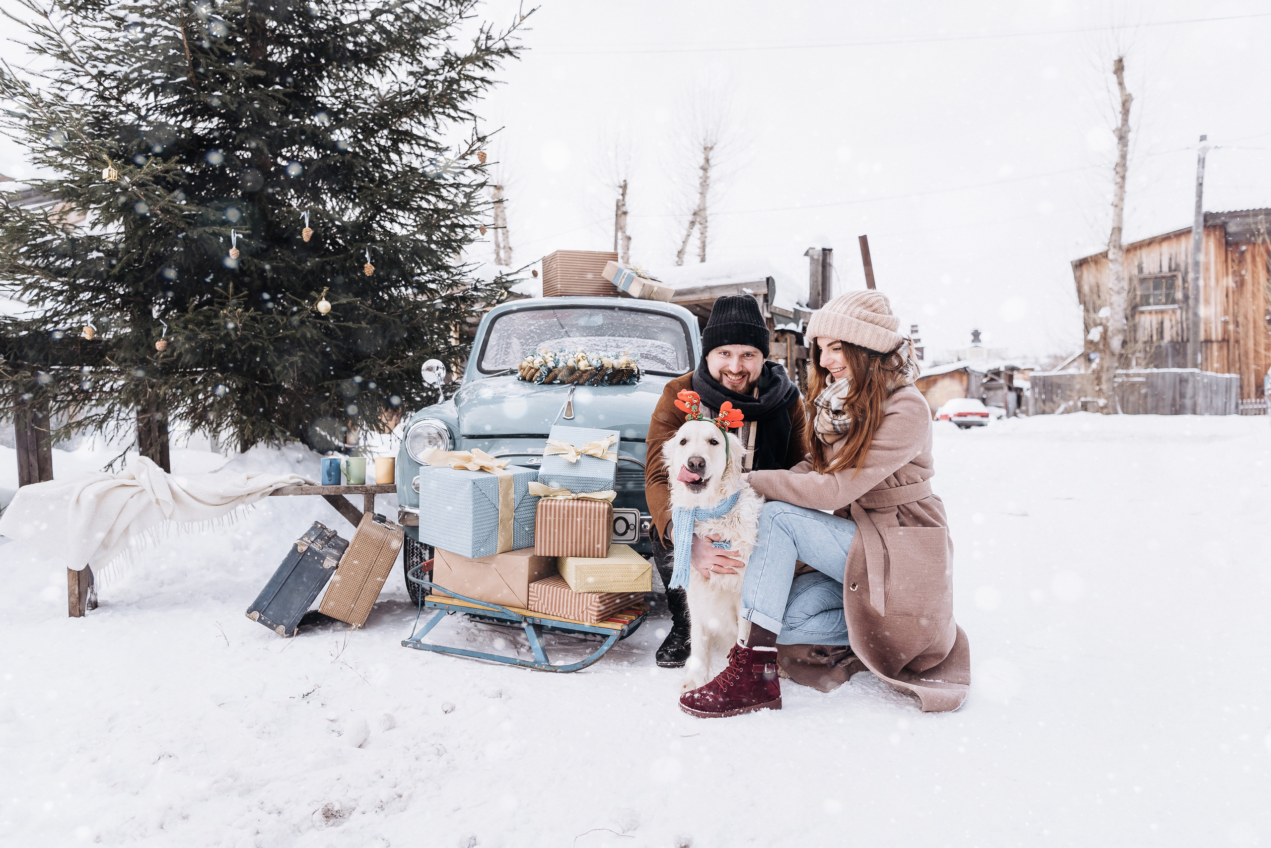 Холодный нос