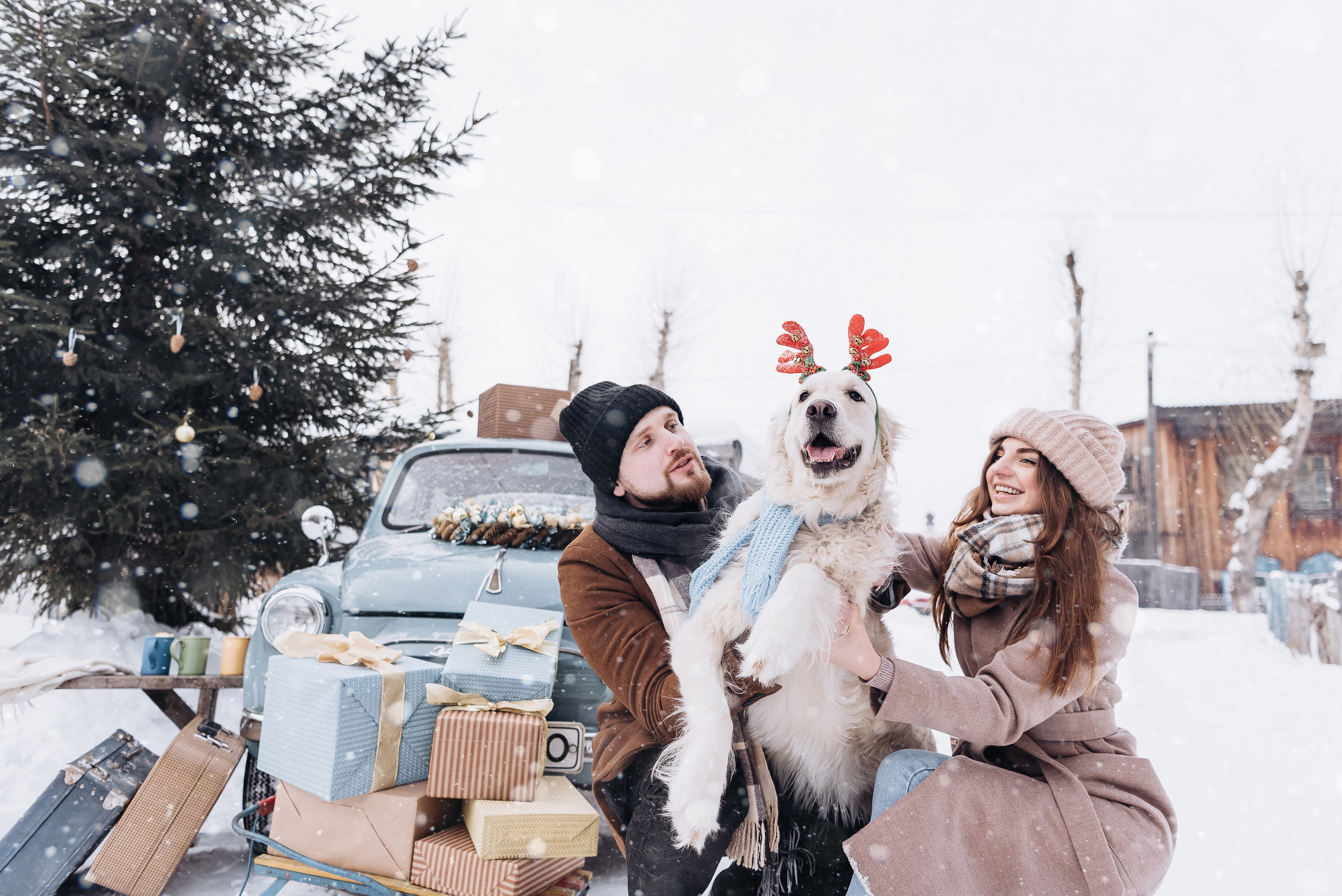 Холодный нос