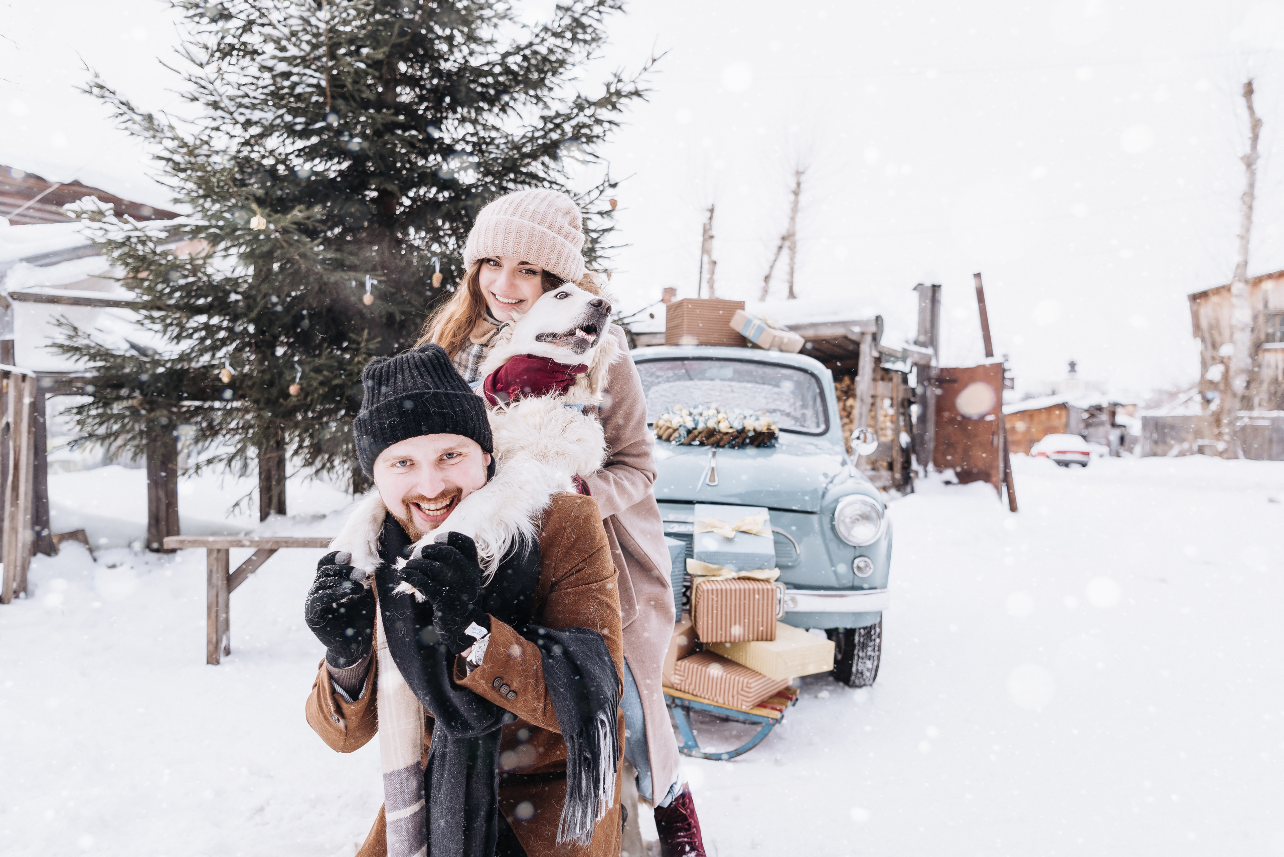 Холодный нос